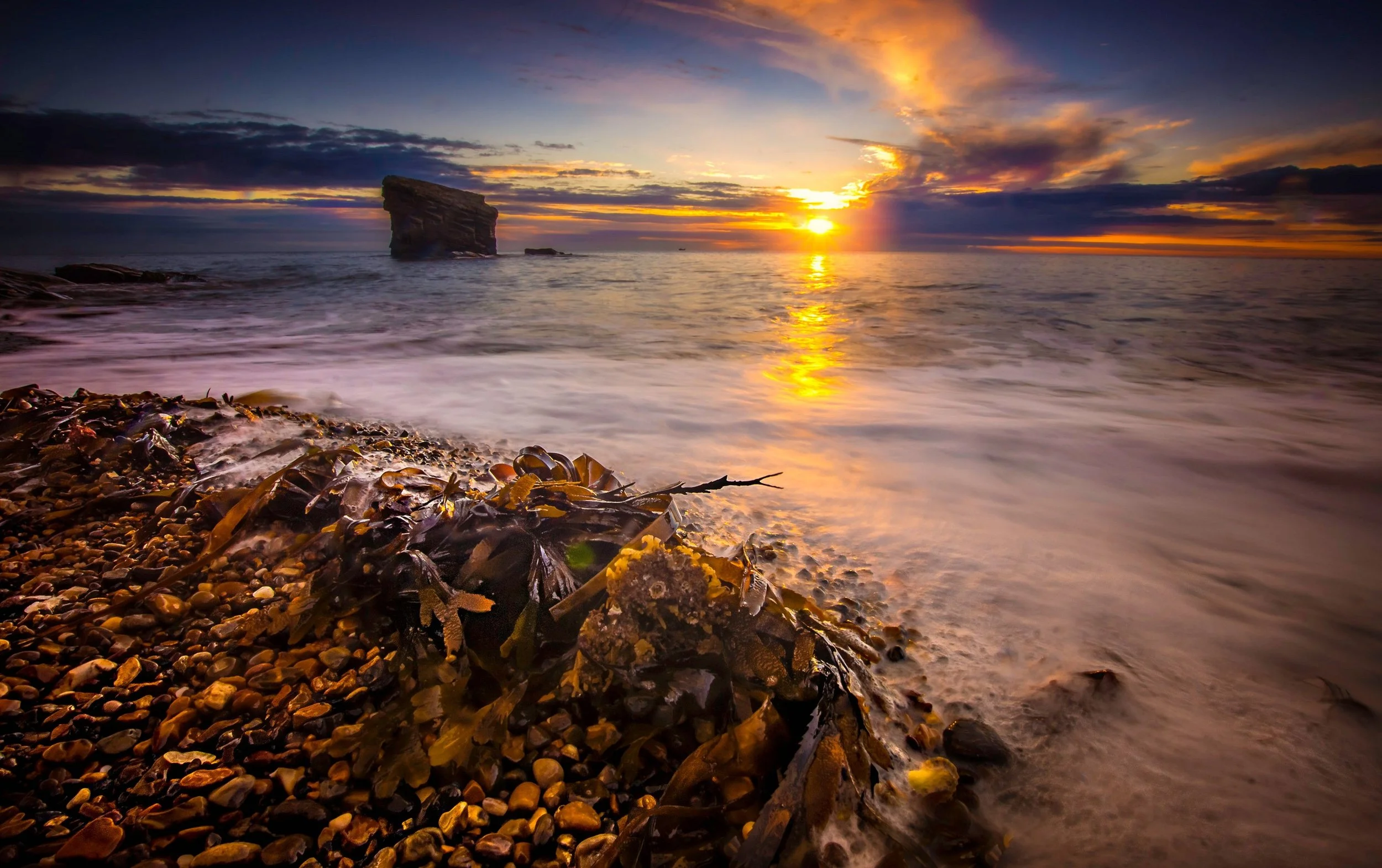 Tidal Enclosure: Seaweed and the New Privatisation