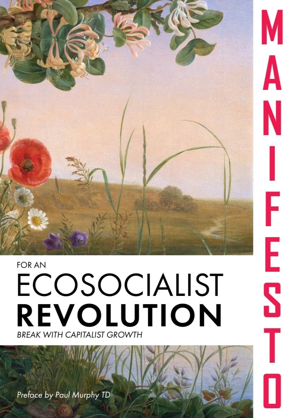 ecosocialist%2Bmanifesto%2Bcover%2B%25281%2529.jpg