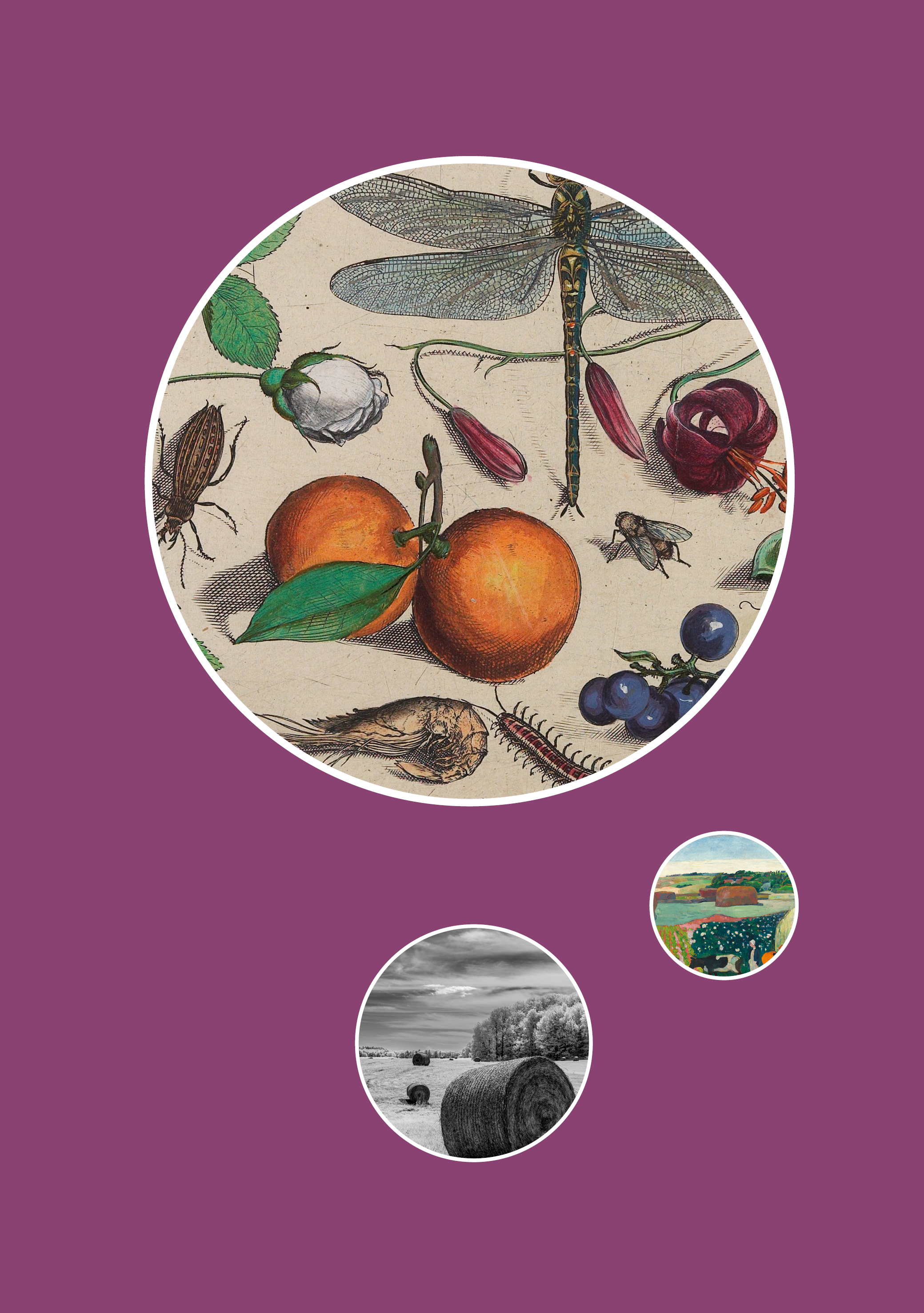 Rupture Issue 19 (Food)