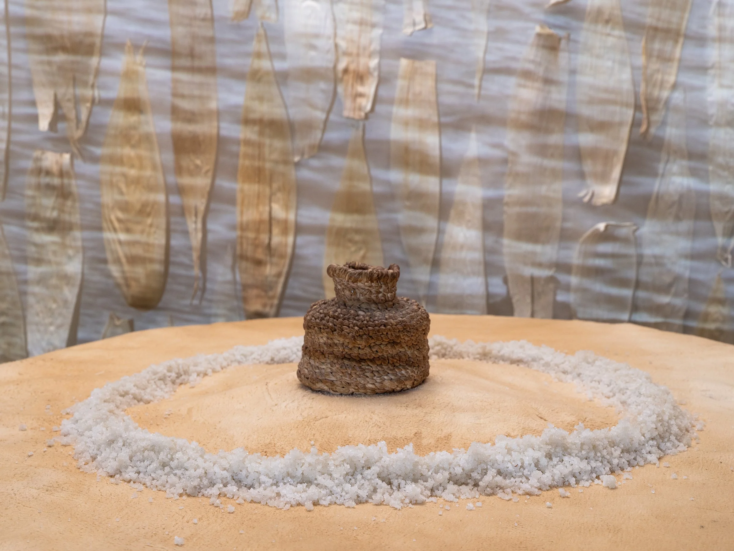 A:gajë:gwah dësa’nigöëwë:nye:’ (i hope it will stir your mind) • Community Opening • February 12, 2025 6PM • Walker Art Center, Minneapolis