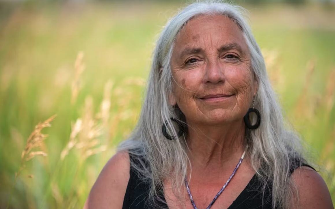 Karen Ann Hoffman on Raised Beadwork • February 19, 2026, 6PM • Bentson Mediatheque, Walker Art Center, Minneapolis