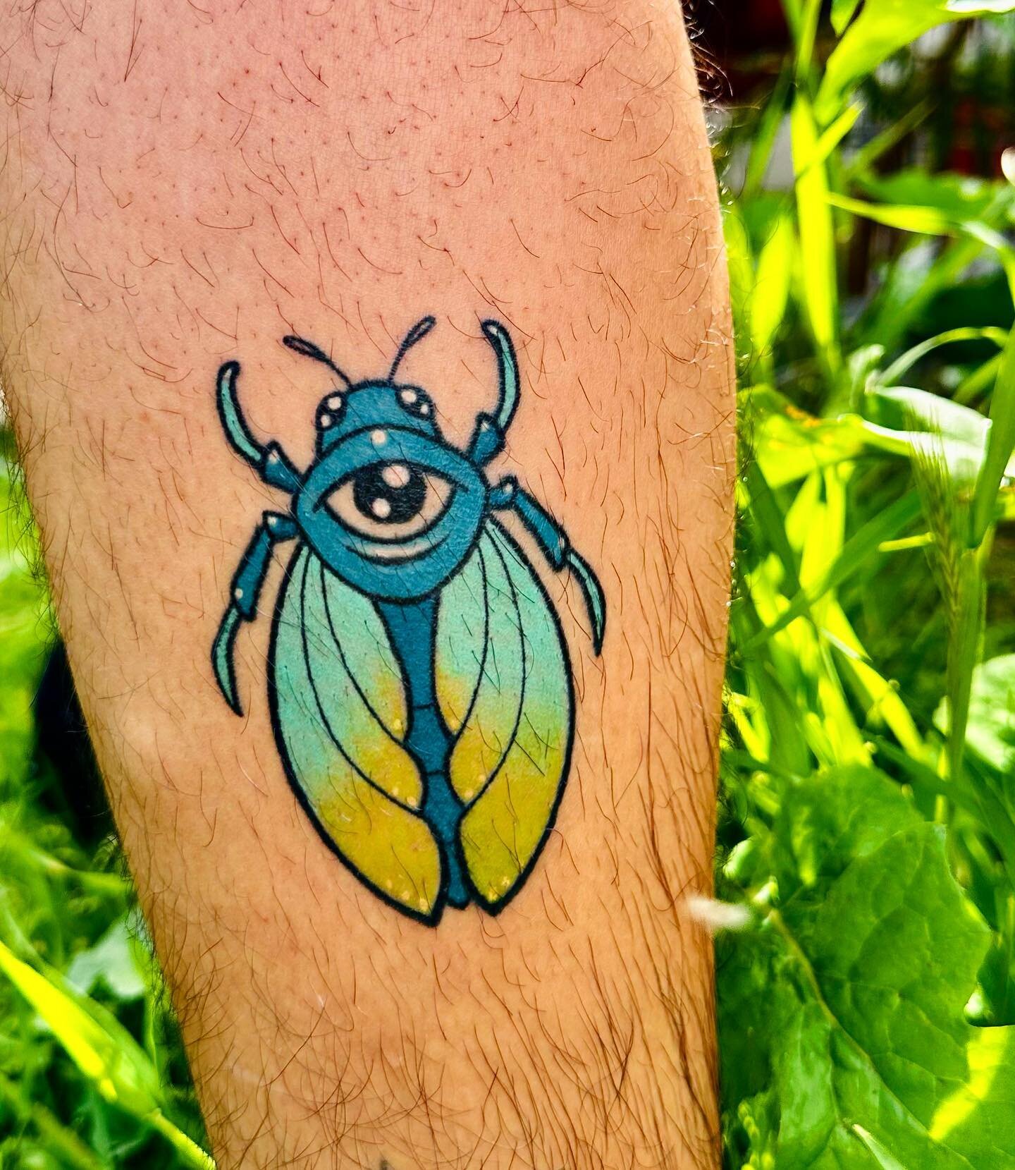 Healed cicada on @gator_homan21 🌿 I did this tattoo on my birthday but somehow managed to not get any fresh photos of it😆 but I love how these ones turned out! 
.
.
.
.
.
#bugtattoo #cicadatattoo #colortattoos #bugtattoos #creaturetattoo #tattooapp