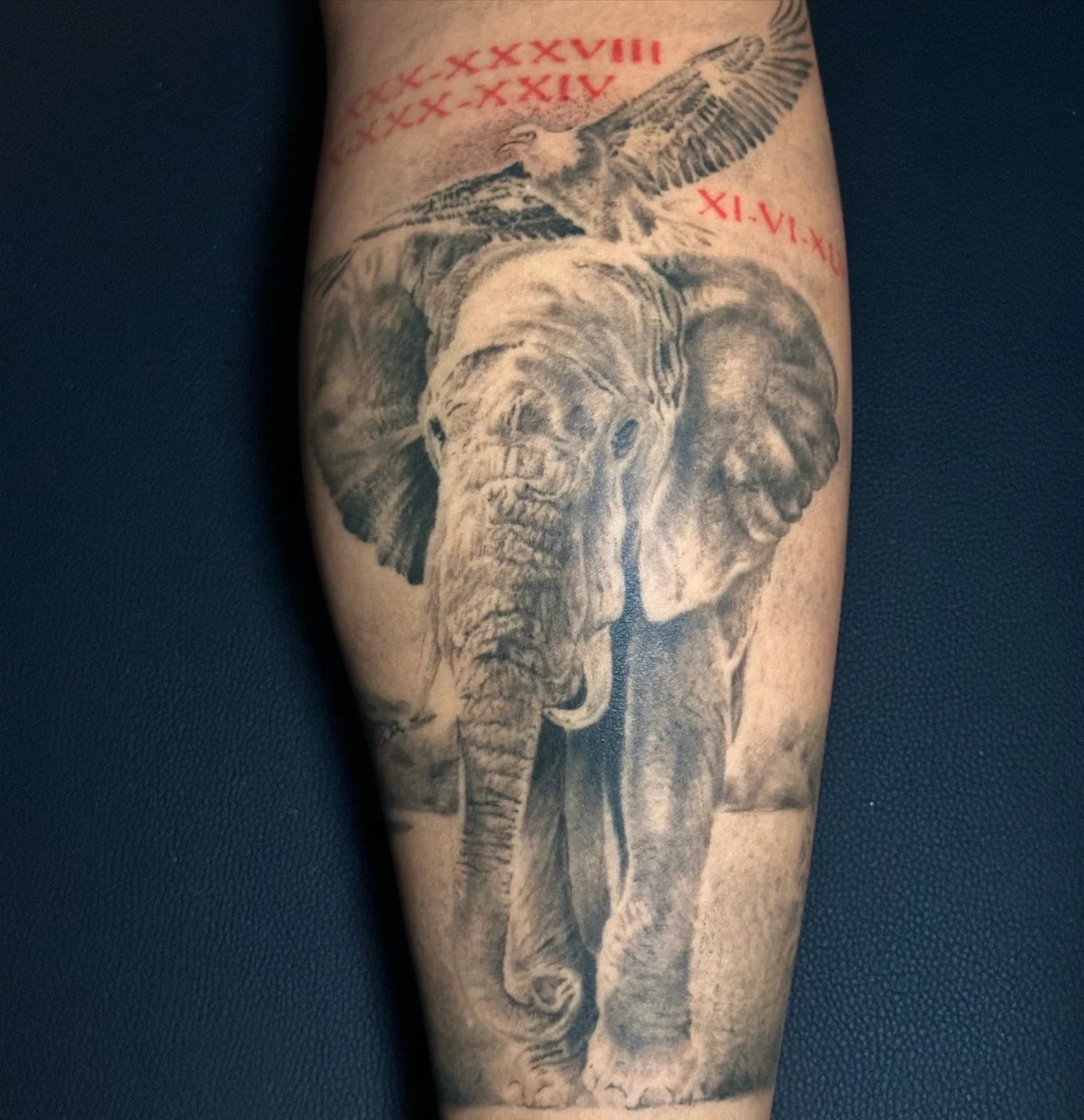 Healed. Detailed. On brown skin.
Realism works on everybody.
.
.
.
#BlackSkinTattoo #RealismTattoo #HealedTattoo #BlackAndGreyTattoo #MelaninTatted #TattooArtist #TattooArt #ElephantTattoo #LegTattoo #SanDiegoTattooArtist #BlackInk #BlackArtistry #Bl