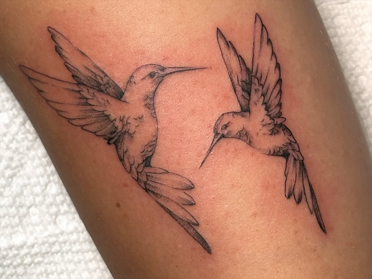 Delicate line-work&hellip; steady, simple, intentional.
.
.
.
#SanDiegoTattoo #SDTattooArtist #NorthParkTattoo #FineLineTattoo #LineworkTattoo #HummingbirdTattoo #MinimalTattoo #BlackAndGreyTattoo #EdenTattooGallery #SanDiegoArtist #TattooDesign #Tat