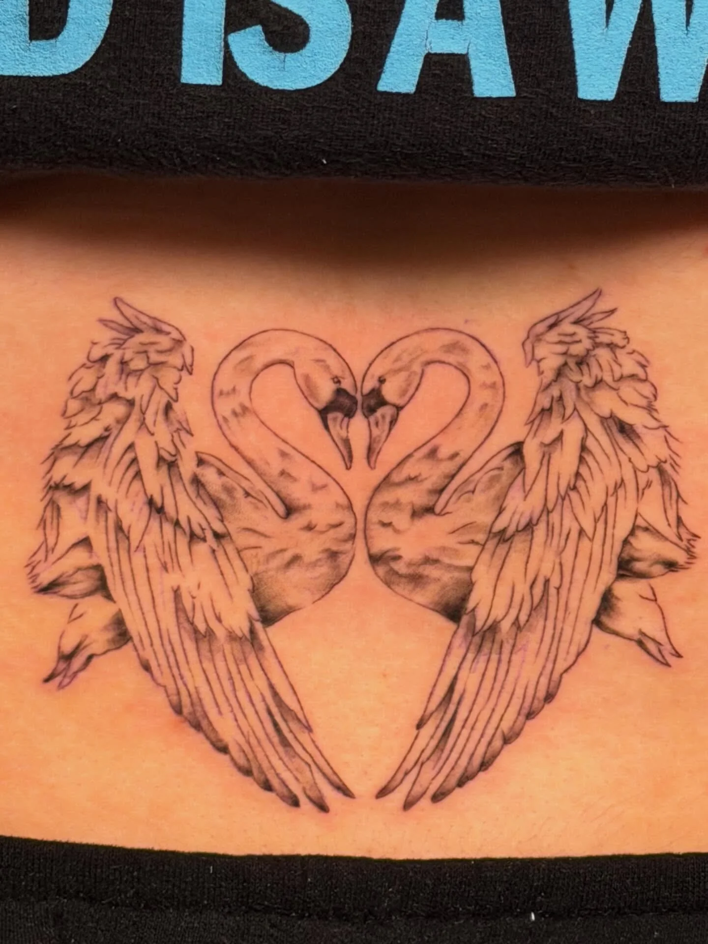 Beauty and Beauty
-thank you for trusting me
.
.
.
#FinelineTattoo #BlackAndGrey #SwanTattoo #SDTattoo #SanDiego