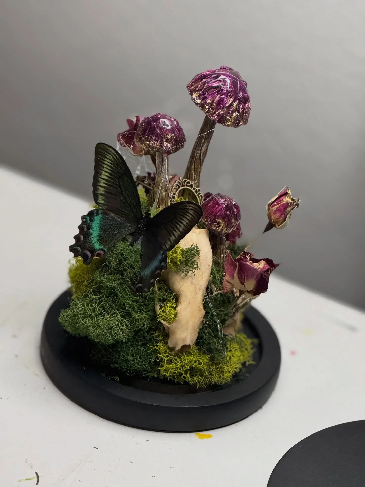 This one rewarded my patience. 🖤 

Handmade mushrooms, Dewy spiderwebs, Dried spray roses, gopher and rat skull and a beautiful alpine black swallowtail. 

Made for @amyscissorhands 🖤☠️

#sandiegoartist #claymushrooms #terrariums #animalskulls #pre