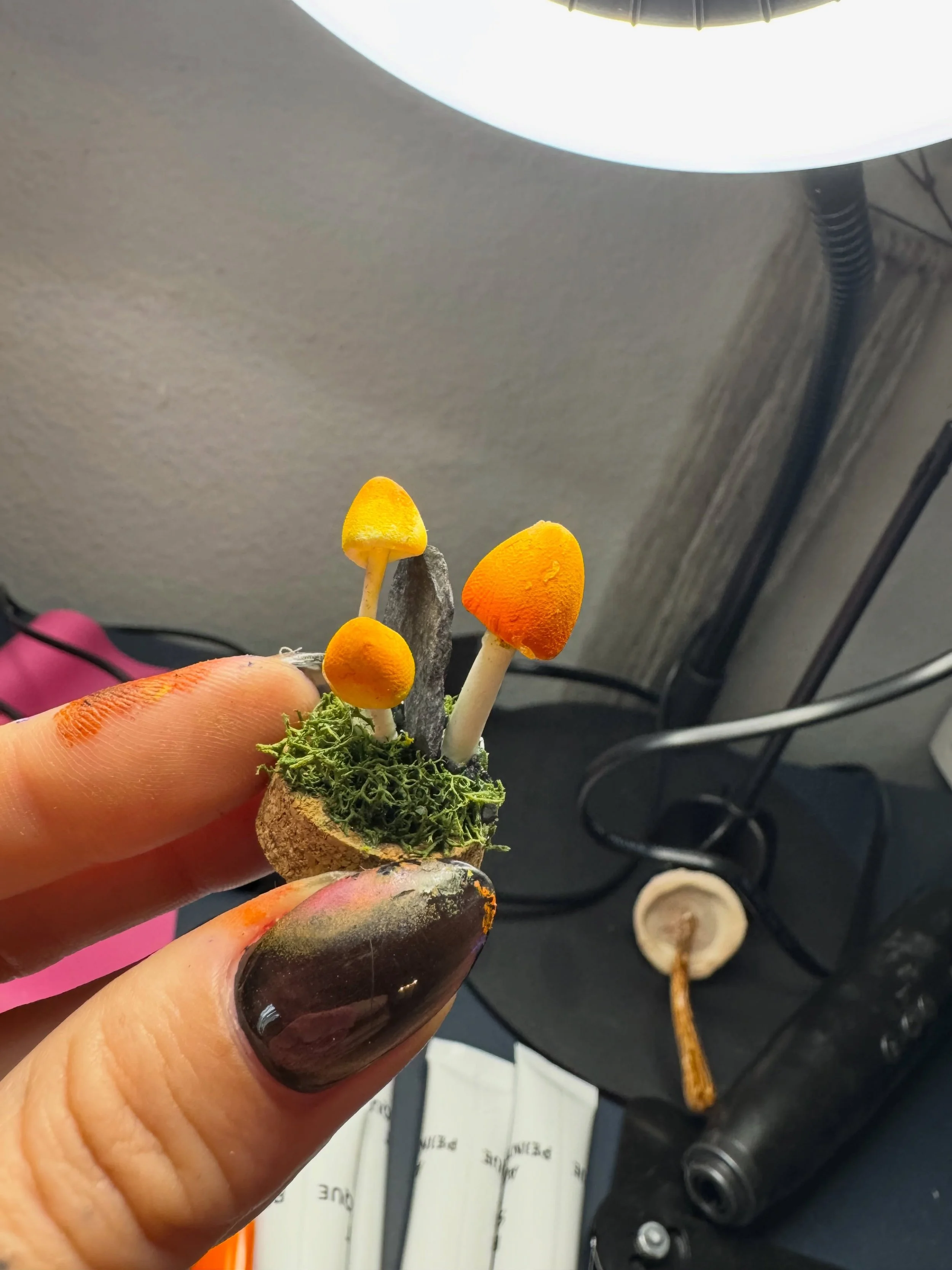 New mini terrariums coming up!! Stay tuned ⚡️

#oddities #clayart #terrariums #artist