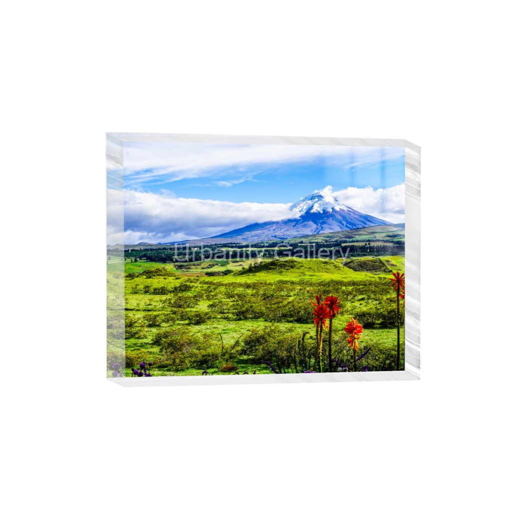 ptq_300_6_500_0_5000_4000_0_false_ffffff_0_0_0fa40822517607918aceb6a176ee66c7.png