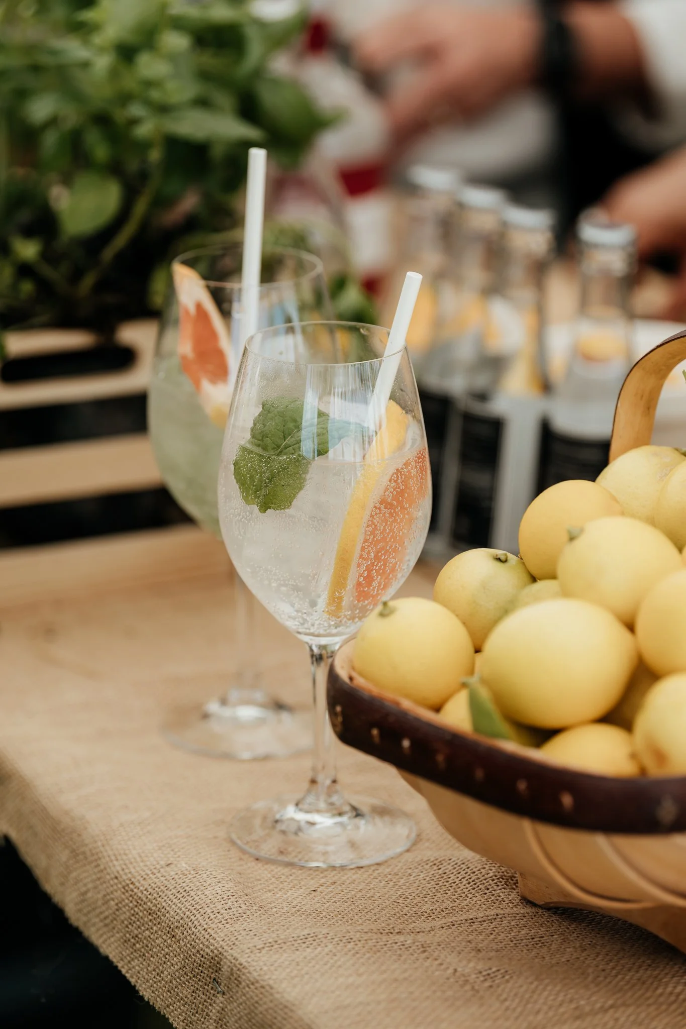 Two glasses of Lighthouse Gin and tonic with lemon slices, mint, and straws on a table with a basket of yellow apples nearby.