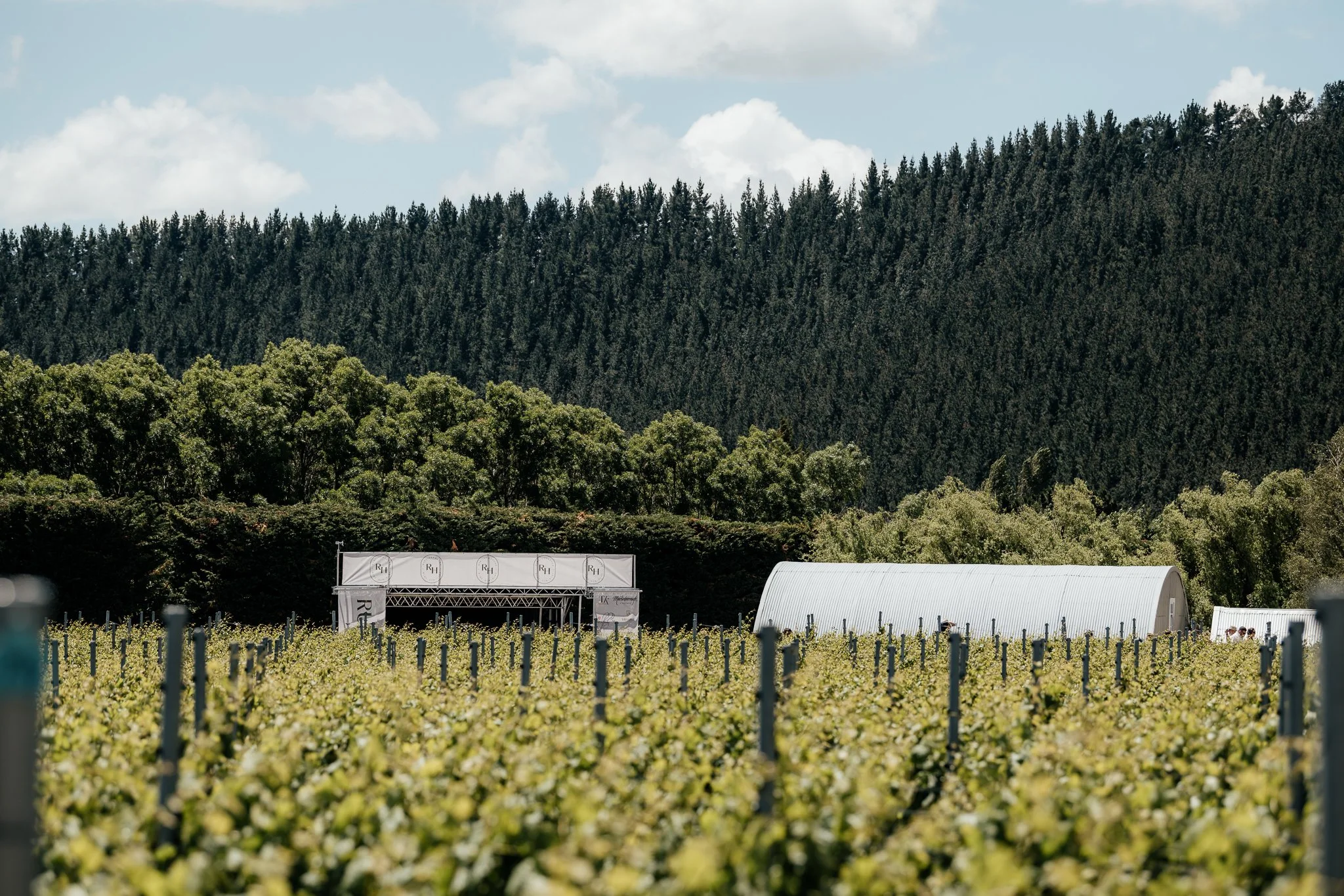 The Runholder Martinborough. A vineyard with rows of grapevines in the foreground, a large white greenhouse or storage tent, and a farm building in the middle ground, with a dense forest of trees and hills in the background under a partly cloudy sky.