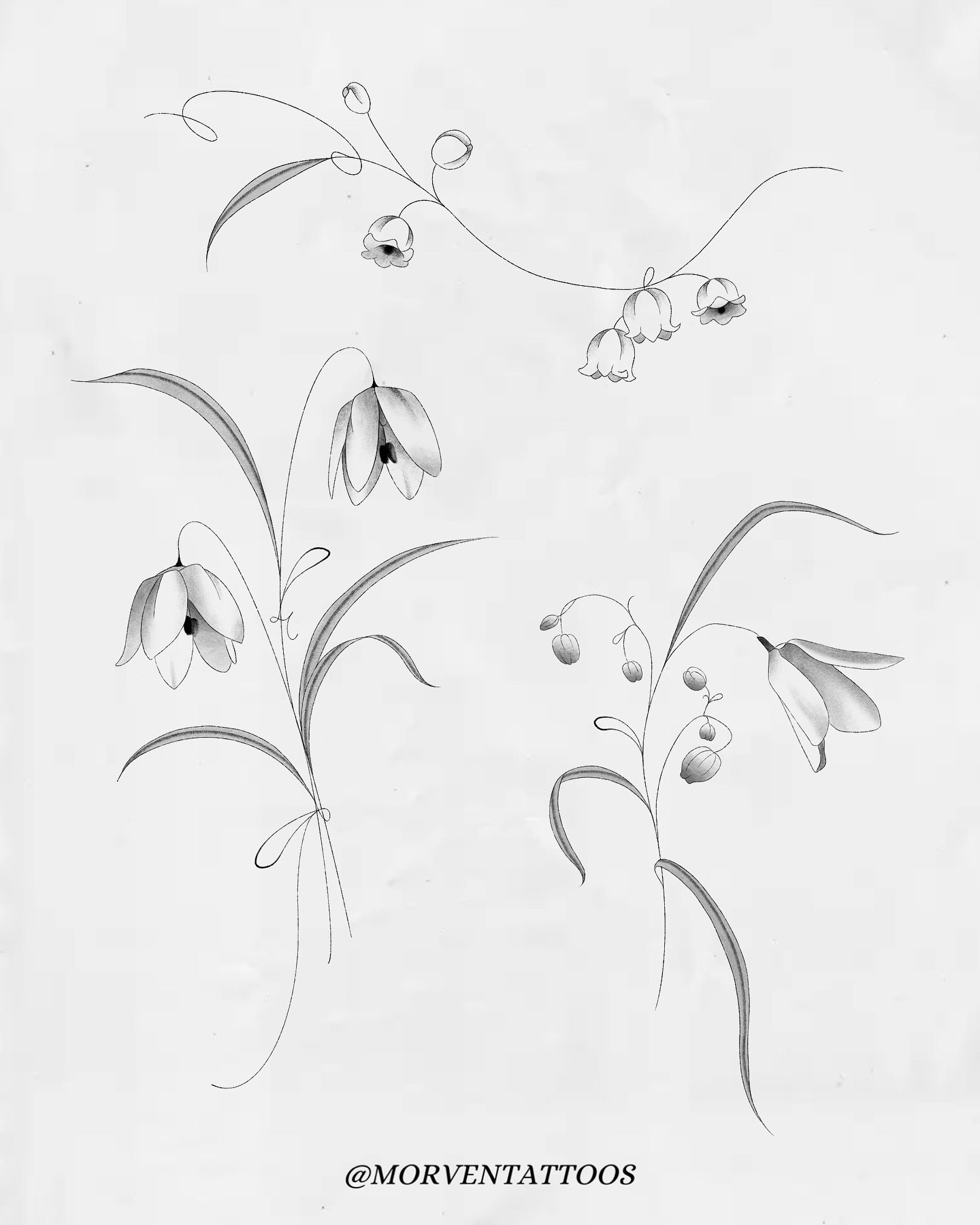 more flowers! (vol.7)

&bull; Pricing listed on website (link in bio)
&bull; Email or DM to book

__

#tattooflash #finelinetattoos #oakvilletattoos #mississaugatattoos #flowertattoo #floraltattoo #flashtattoo #lilyofthevalley