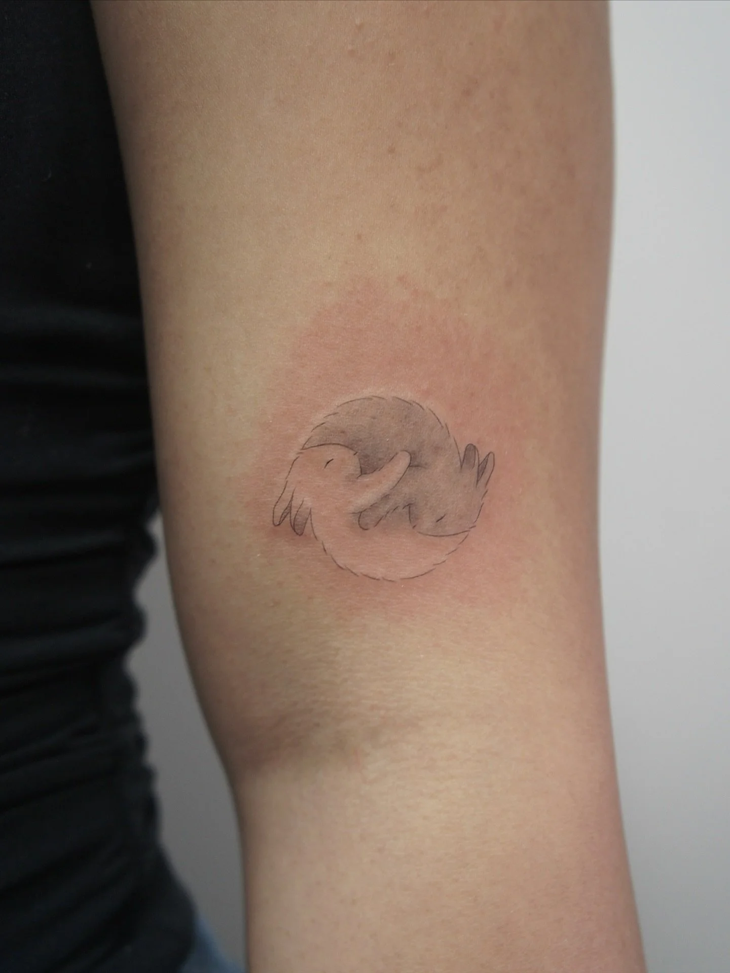 matching bunny flash!  𐔌՞. .՞𐦯

#bunnytattoo #matchingtattoo #sistertattoo #yinyangtattoo #softtattoo #mississaugatattoo