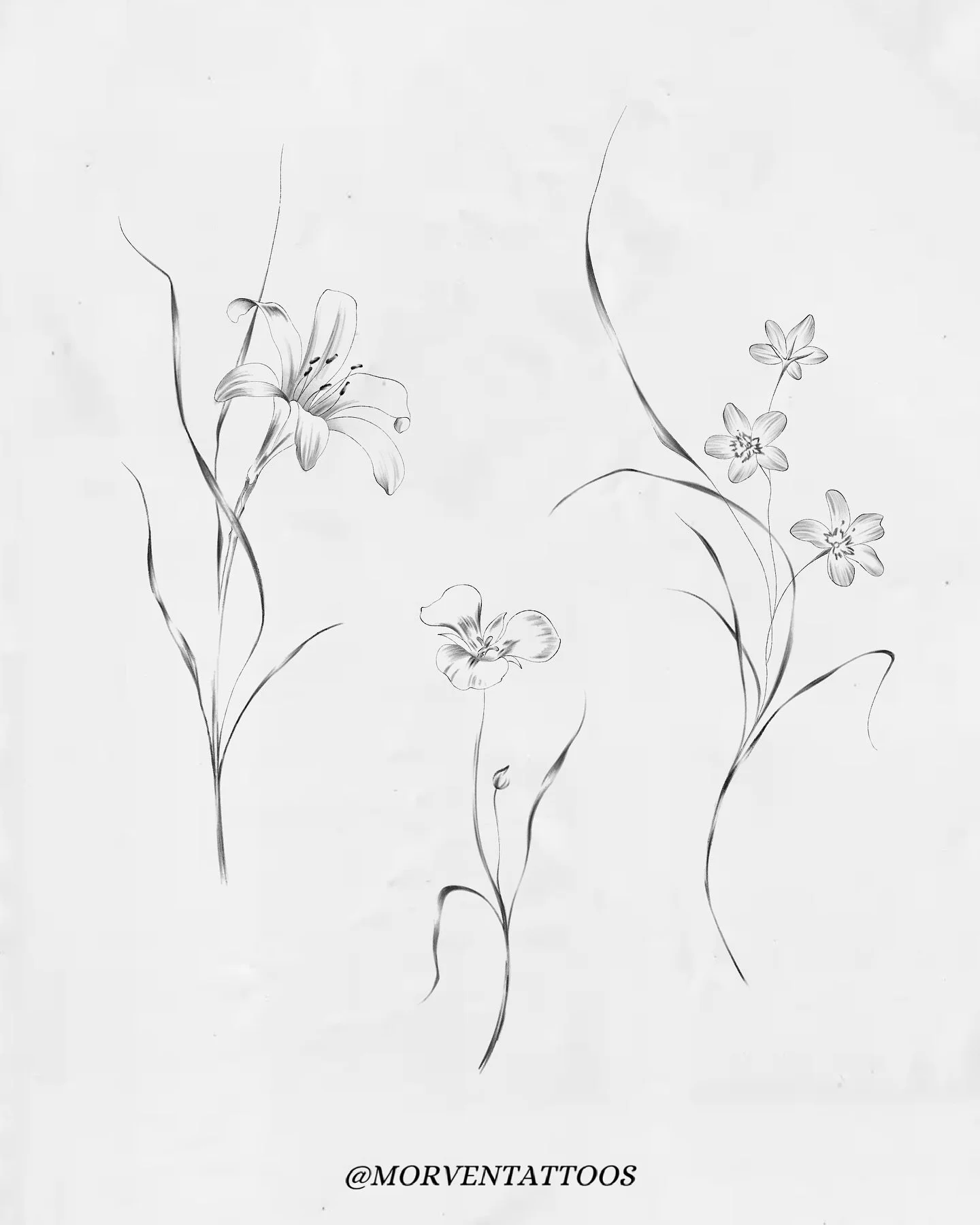Wispy flowers ❀࿐

&bull; DM or email to claim
&bull; Booking timeframe in bio

#tattooflash #mississaugatattoos #flowertattoodesigns #floraltattoodesign #oakvilletattoos