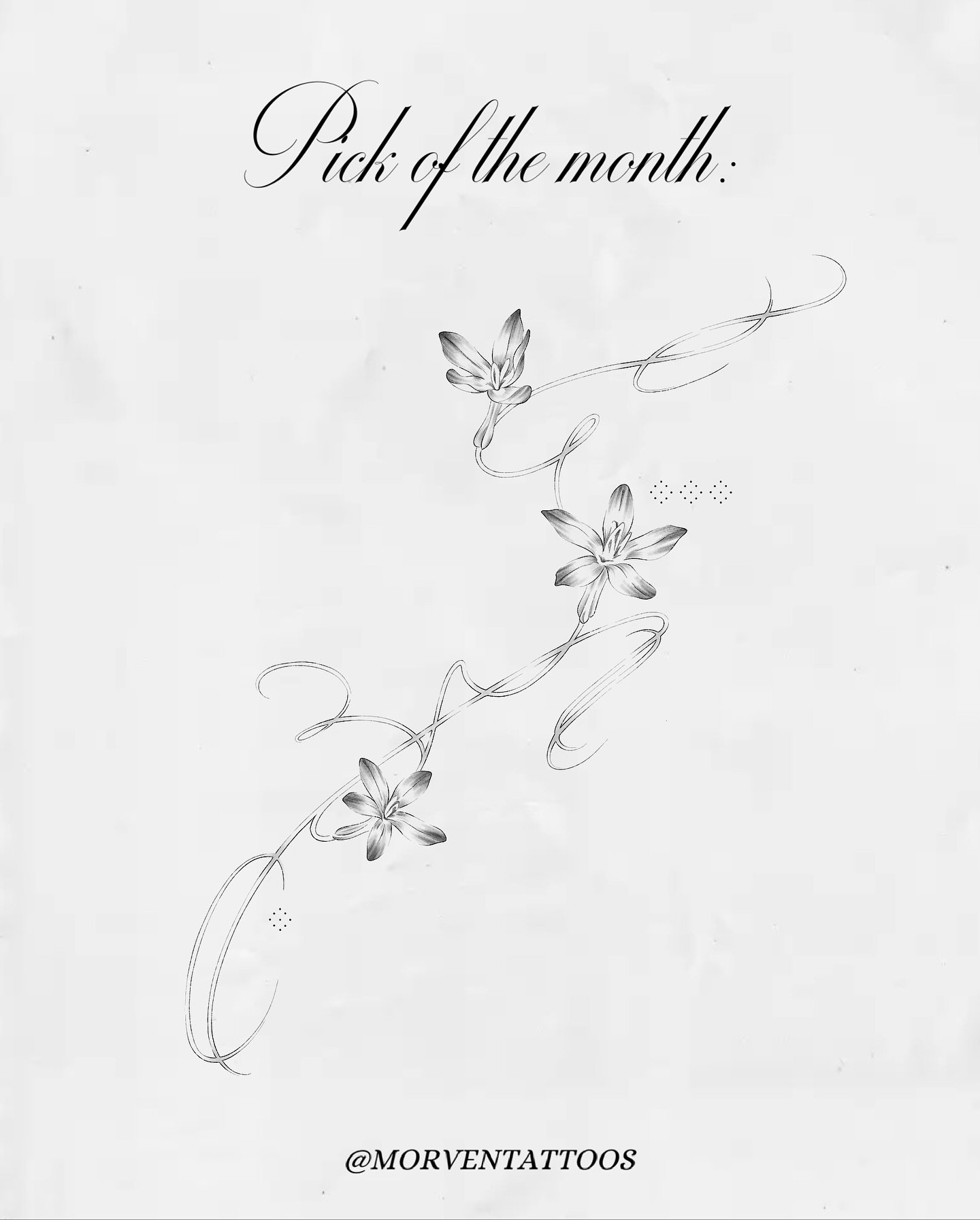 November's pick of the month ⋆˚✿˖&deg;
(50% off regular pricing)

&bull; DM or email to claim
&bull; Design info listed on my website

#sigiltattoo #tattooflash #tattoosale #mississaugatattoos #oakvilletattoos #torontotattoos #finelinetattoo #vintage