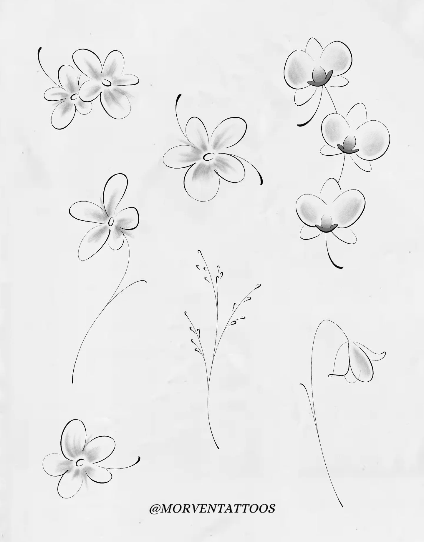 Some minimal floral flash from a fun doodling session 🌸

&bull; DM or email to claim
&bull; Prices/sizes listed on my website

#tattooflash #mississaugatattoos #gtatattoos #finelinetattoomississauga minimaltattoodesign