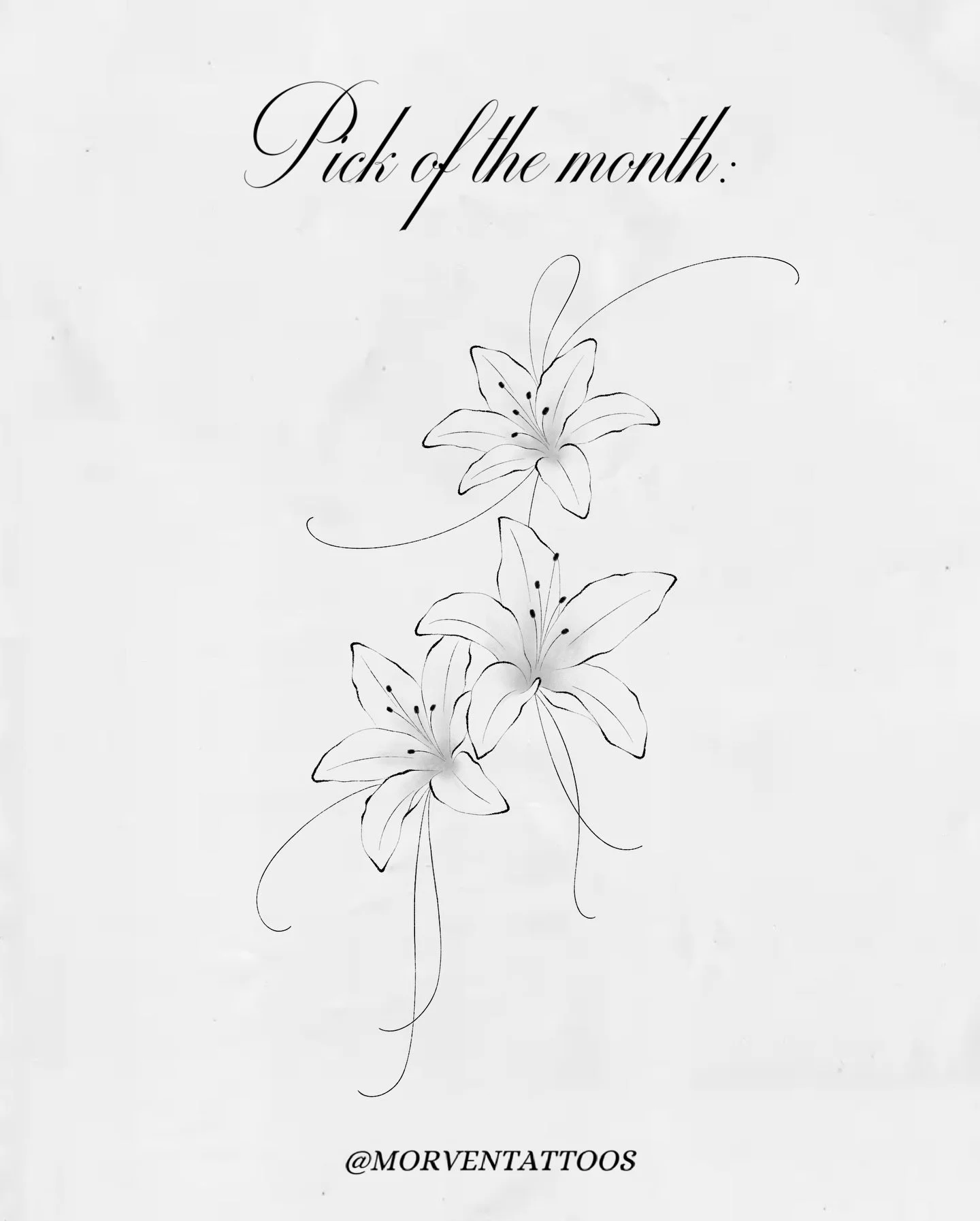 January's design! &deg;❀.࿔
(Swipe for info)

#lilytattoo #mississaugatattoo #torontotattoo #tattooflash #tattoodesign