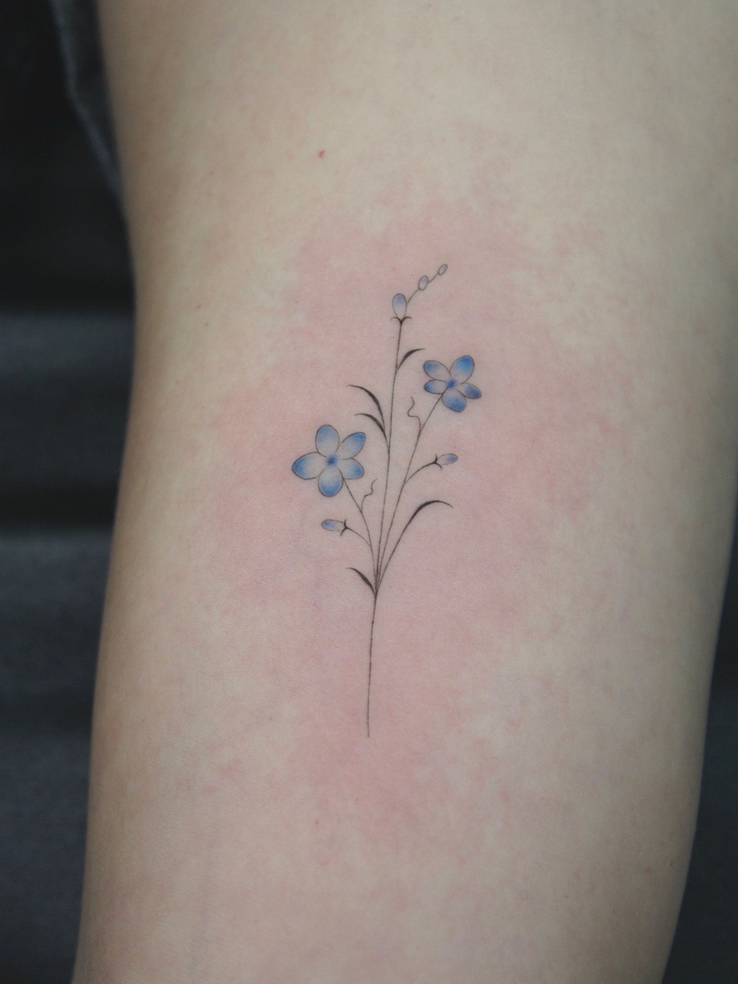 Little blue flowers &deg;❀.࿔

#mississaugatattoos #oakvilletattoos #mississaugafineline #gtafineline