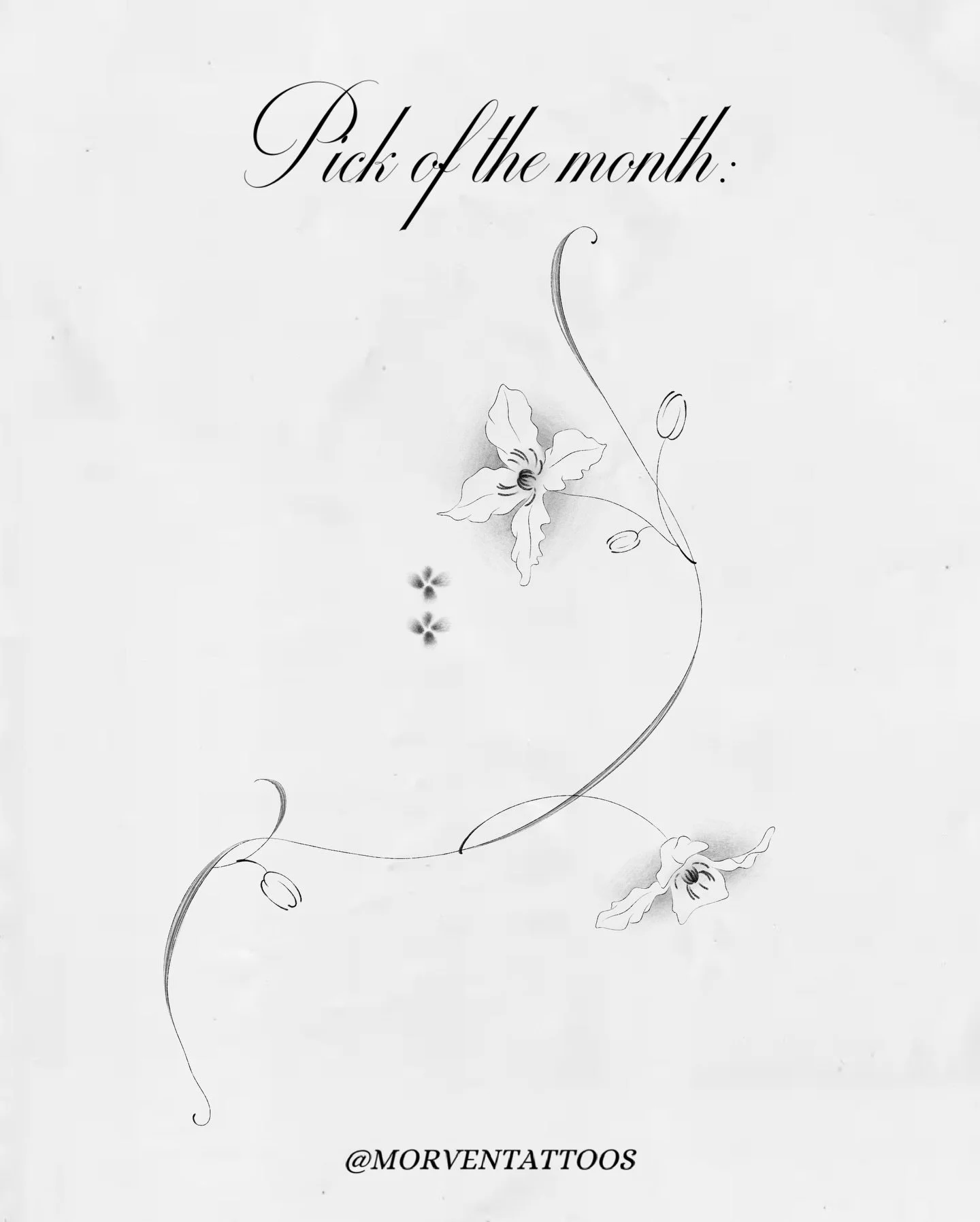 March's design!! &deg;❀.ೃ࿔

The floating floral ornaments can be moved if needed (depending on the final orientation/placement) ◡̈ 

#mississaugatattoos #torontotattoo #tattooflash #tattoosale