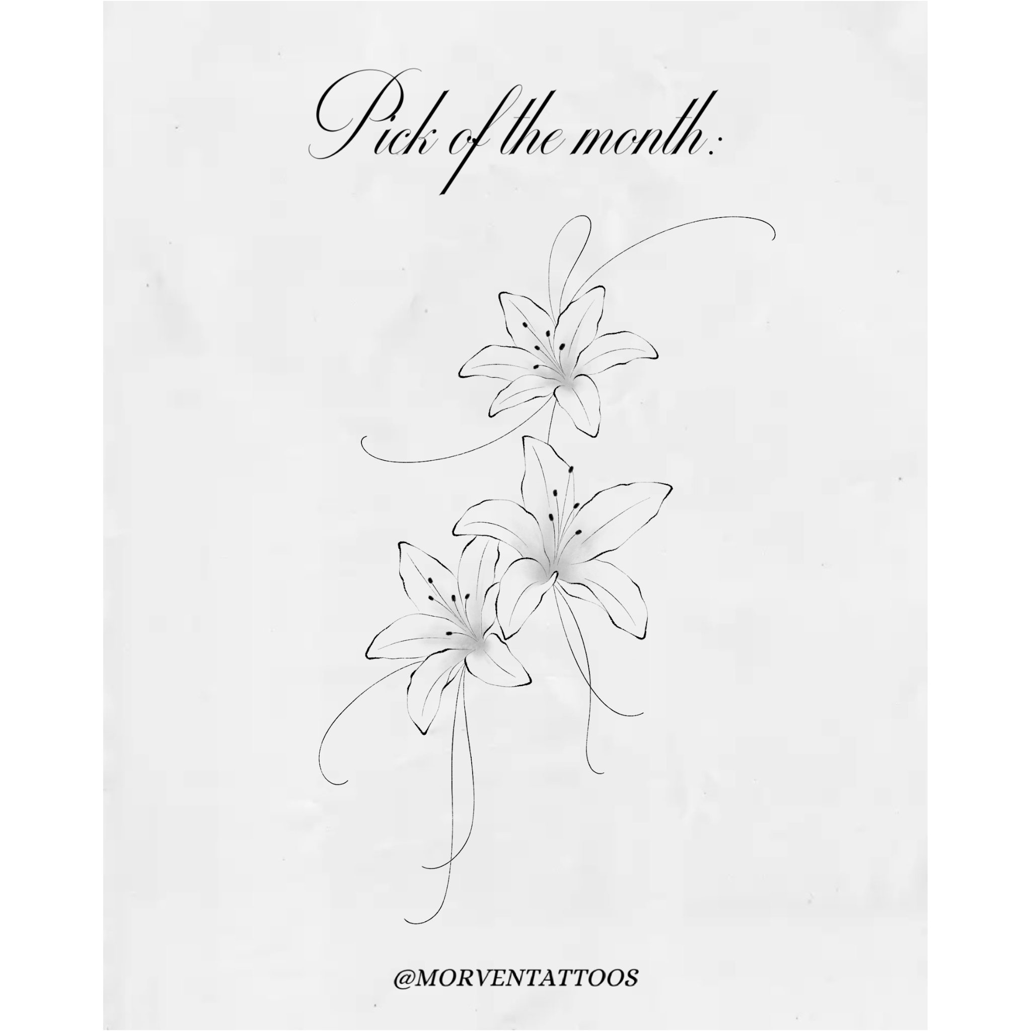 new sheet labels (22).png