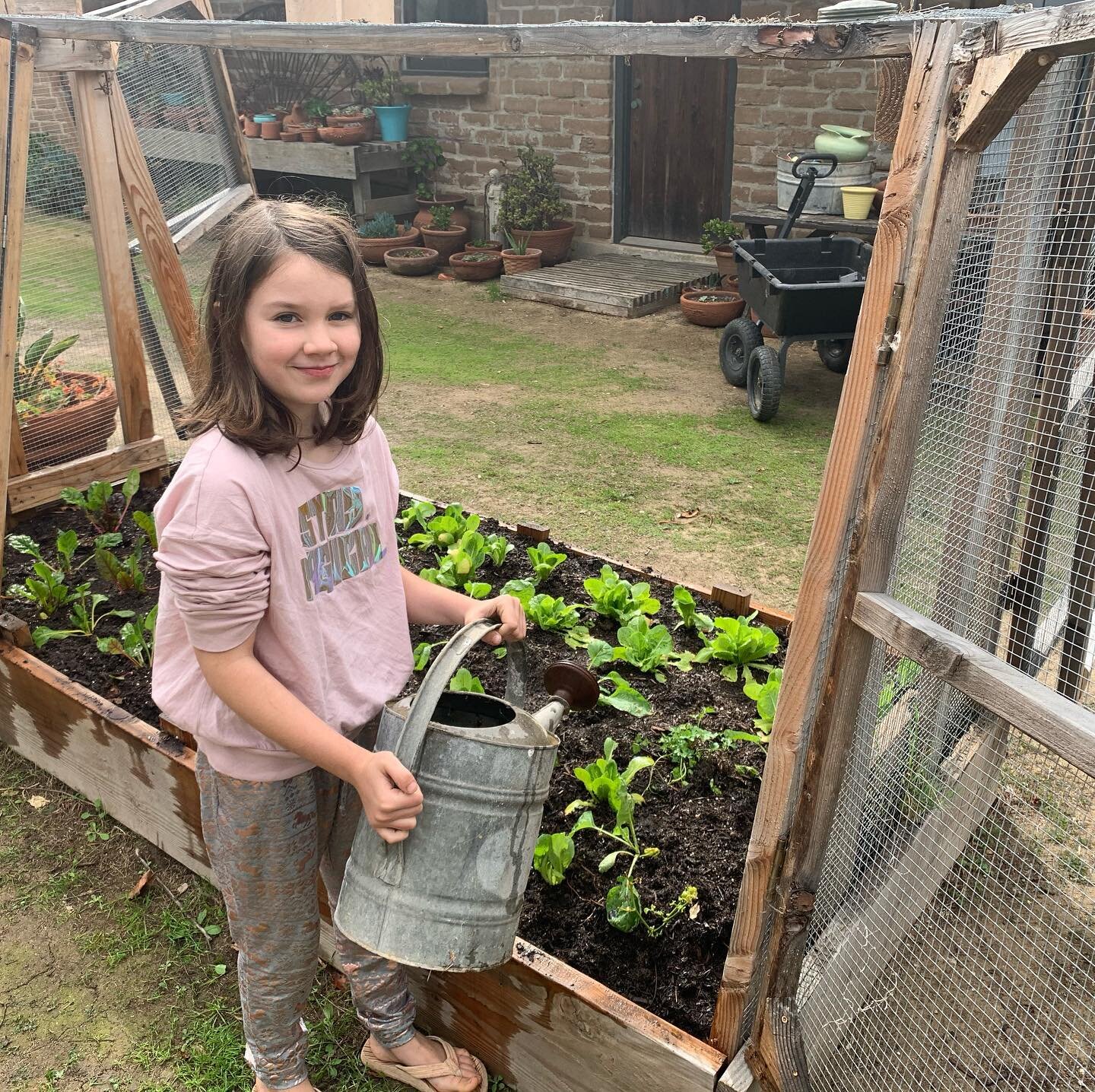 I had such a wonderful morning working with Ruby on our garden. We planted some more lettuce and Swiss chard as well as pepper plants and Brussel sprouts. ❤️