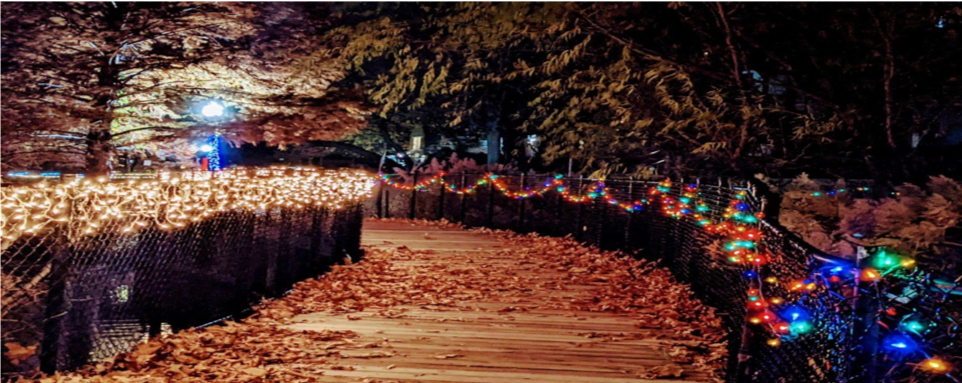 Magic, Light, and Promise, December 2021