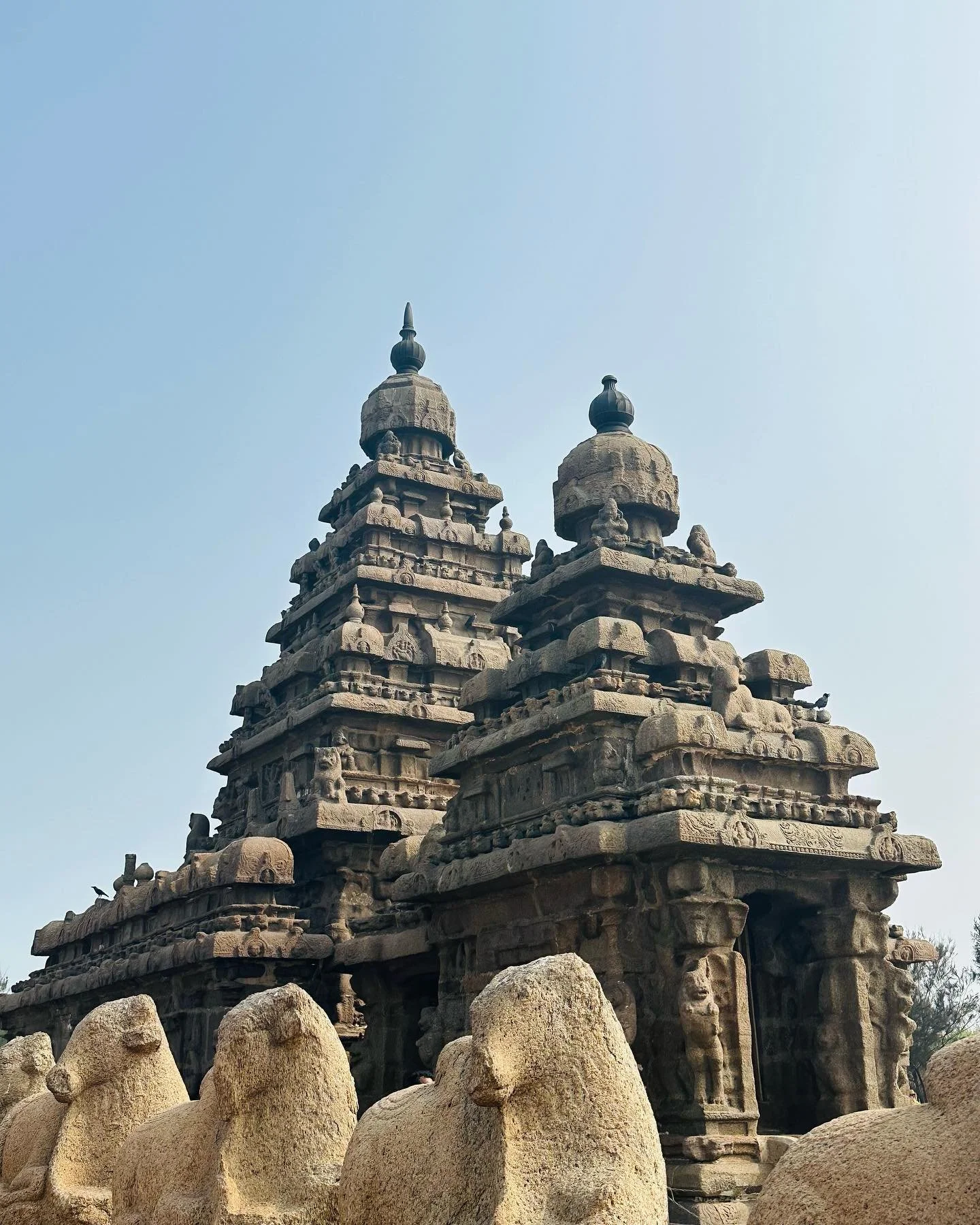 During my seventh month in India, I focused on drawing connections between the past and the present! ♾️
&nbsp;
The final weeks of 2022 included&hellip;
🌊 Spending the holiday season in Tamil Nadu with my entire family (even our LA-native dog Lily!) 