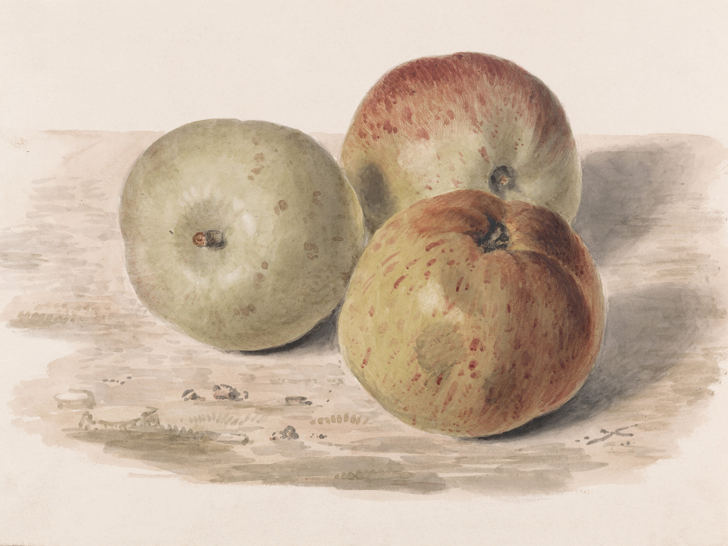 Watercolor still life painting of three apples.