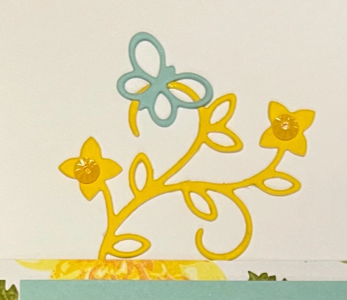 FullSizeRender (129).jpeg