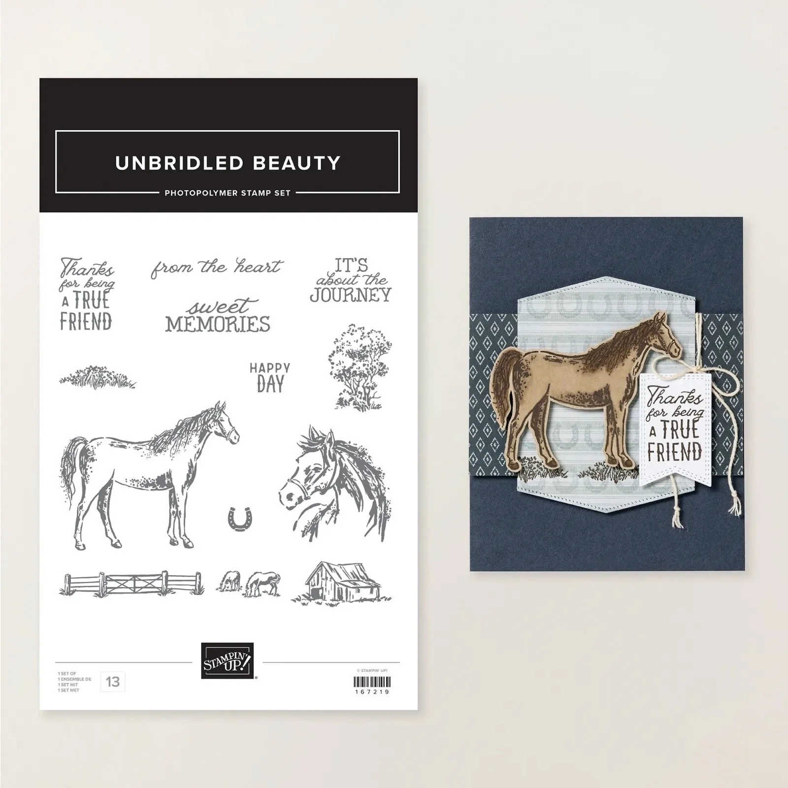 Horse image with horse shoe Unbraided Beauty by STampin' Up