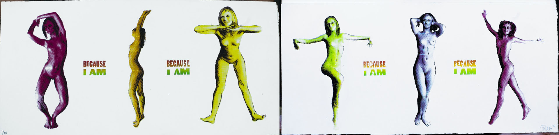 "Because I Am," Screen Print 9x36" (Diptych) 2015