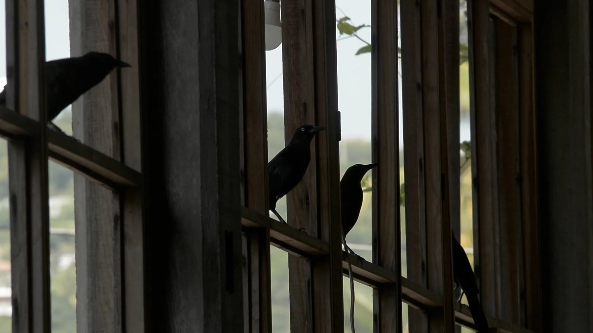 PLAYA PANTEON.mov.01_16_32_20.Still006.jpg