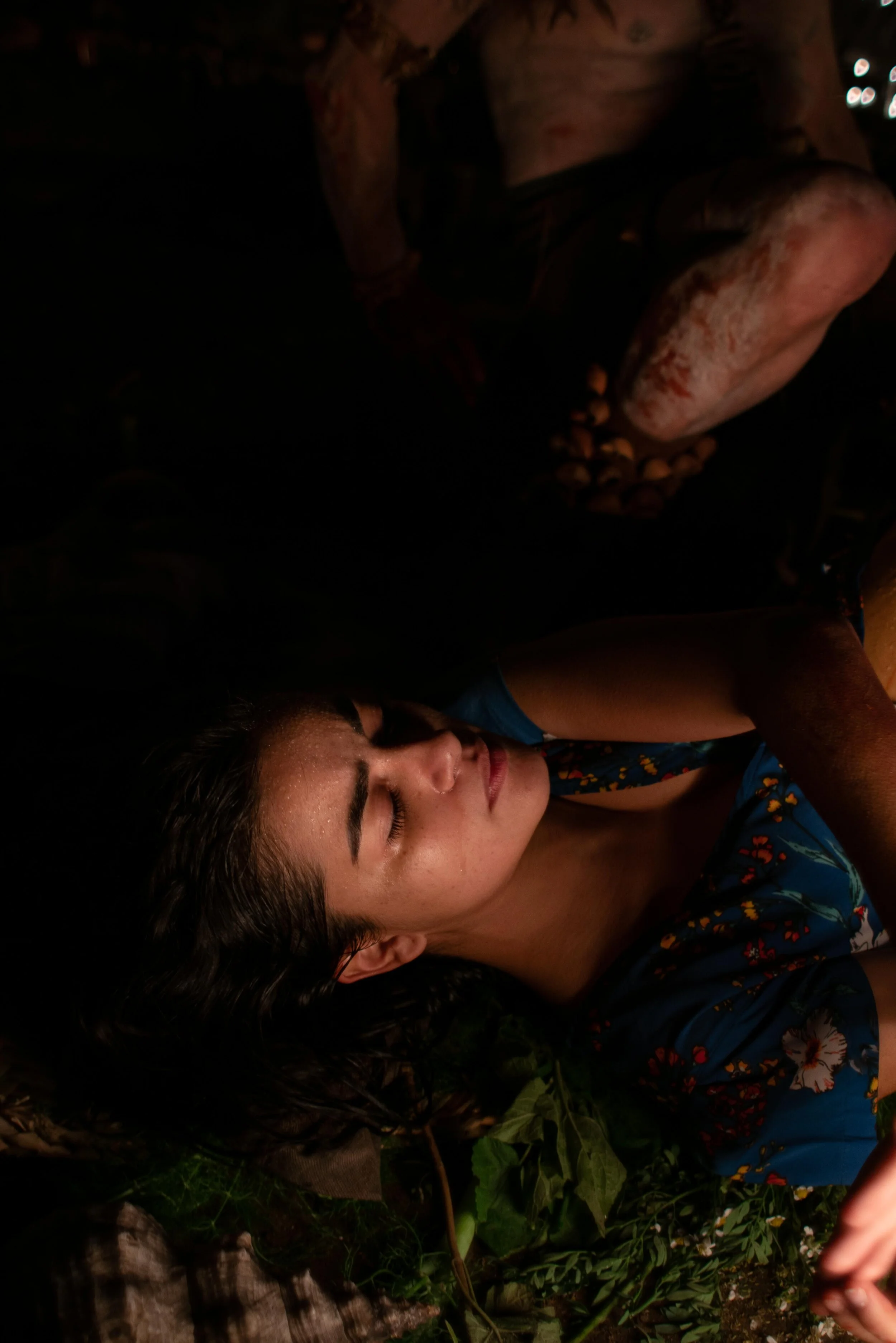 Dreamer (2025)