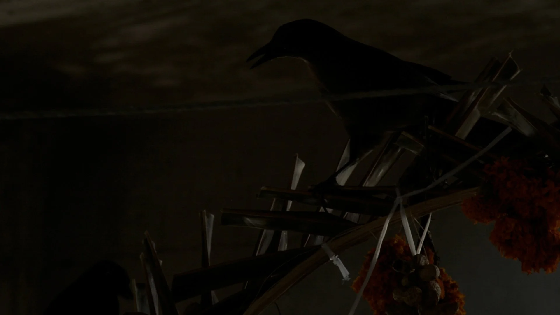 PLAYA PANTEON.mov.01_17_35_20.Still007.jpg