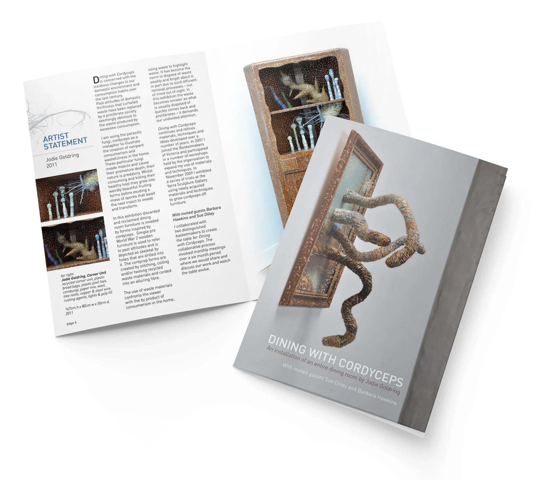 Catalogue for Melbourne artist Jodie Goldring for an installation as part of the Melbourne Fringe Festival.