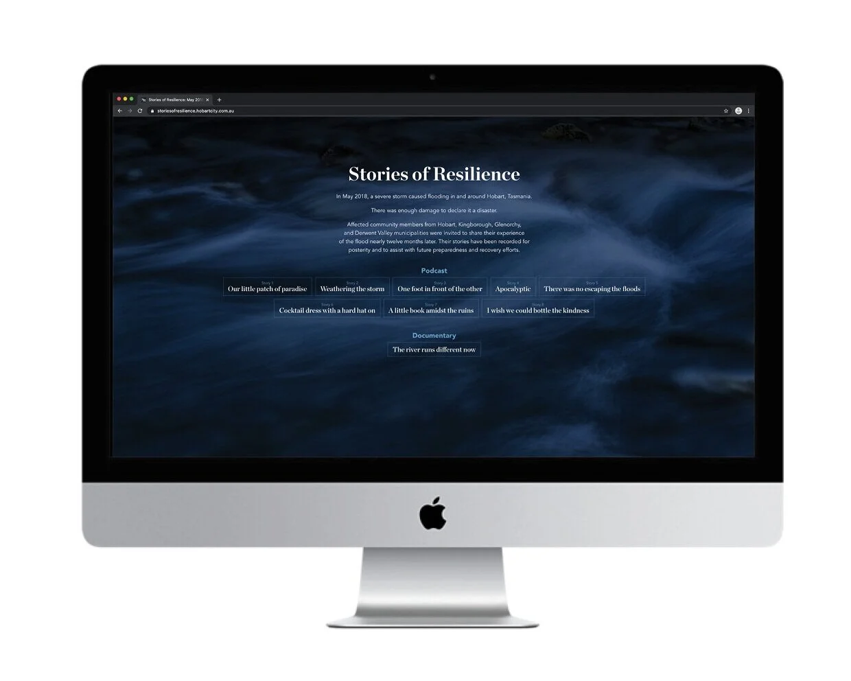 Stories of Resilience website