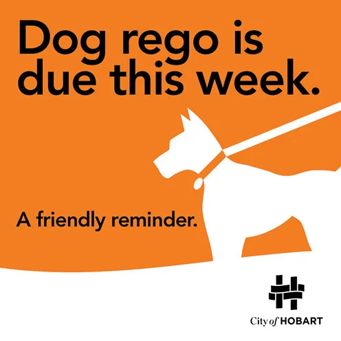 Dog registration tile.jpg