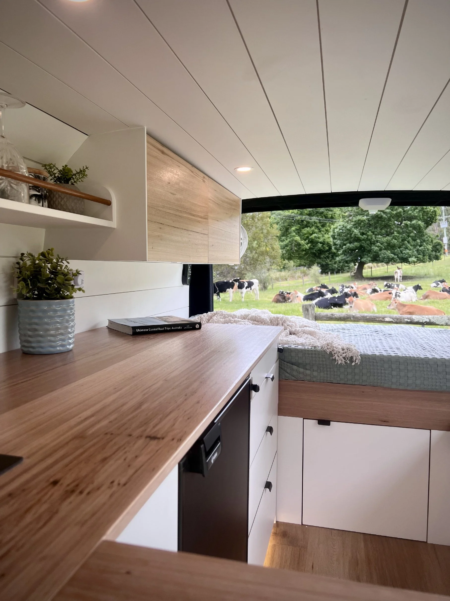 Basil The Toyota Hiace