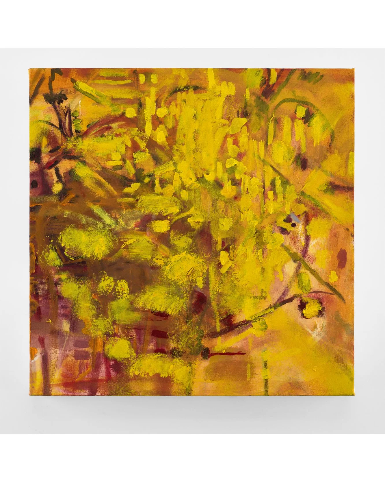 SEED, 2025, oil on canvas, 25 x 25 inches