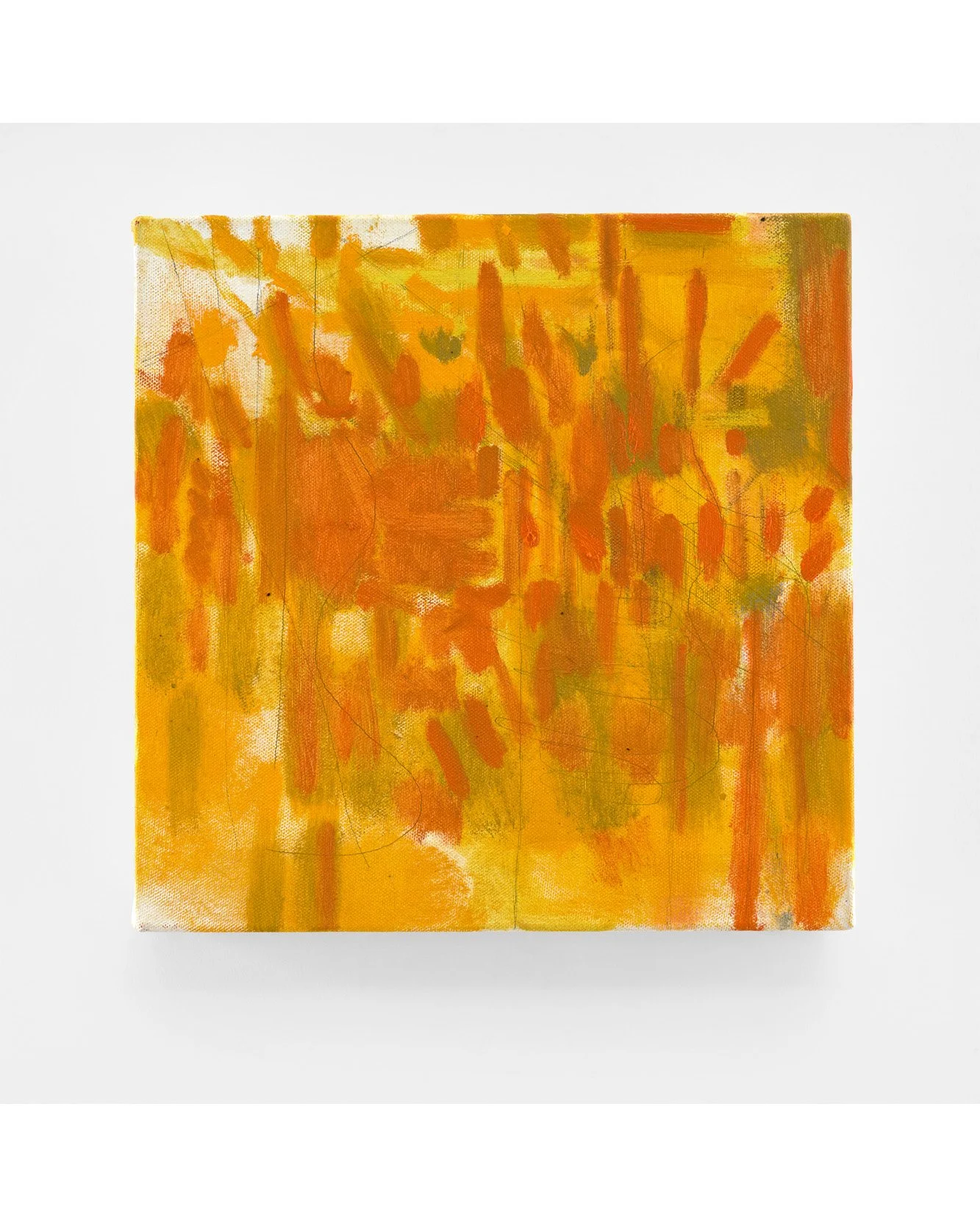 FLARE, 2025, oil on canvas, 12 x 12 inches