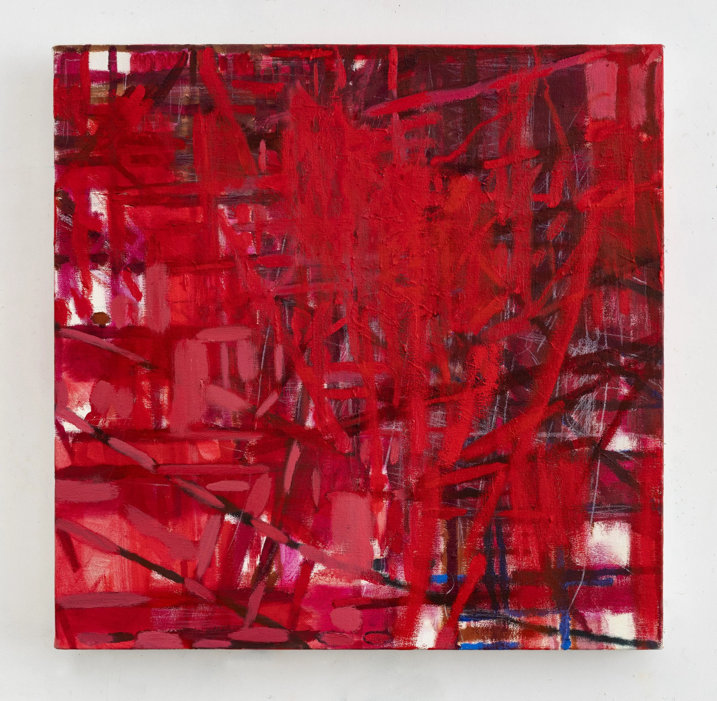SPECTACLE III, 2026, oil on canvas, 25 x 25 inches