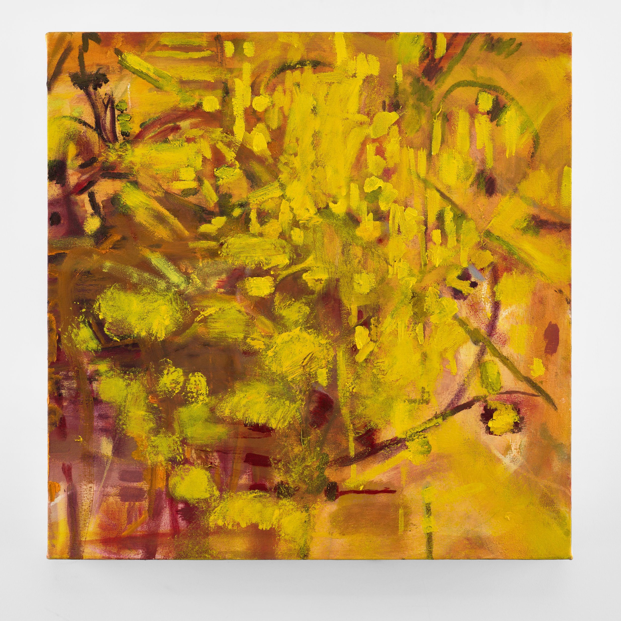 SEED, 2025, oil on canvas, 25 x 25 inches