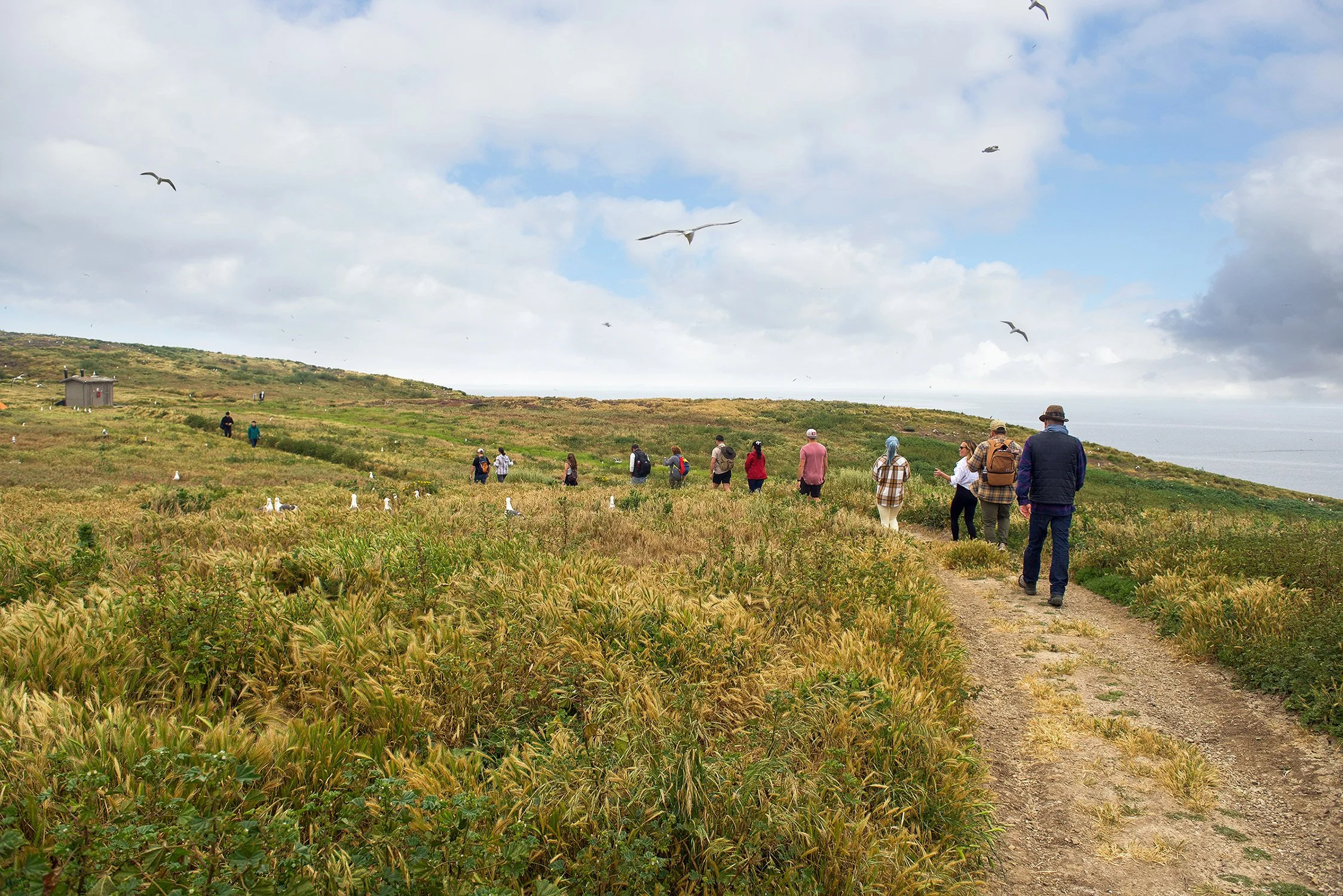 Hikers on island landscape captured for editorial story