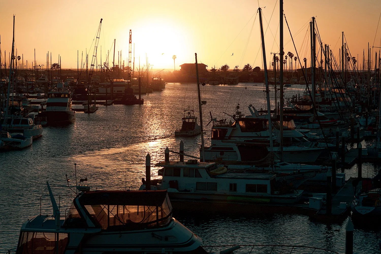 Photo of highlights of the harbor boats at sunset in  Photos of Ventura California
