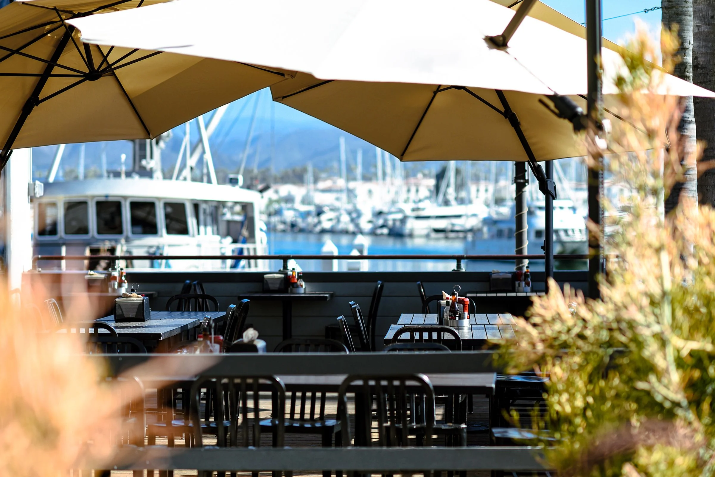 Outdoor patio dining with harbor views at On The Alley Ventura