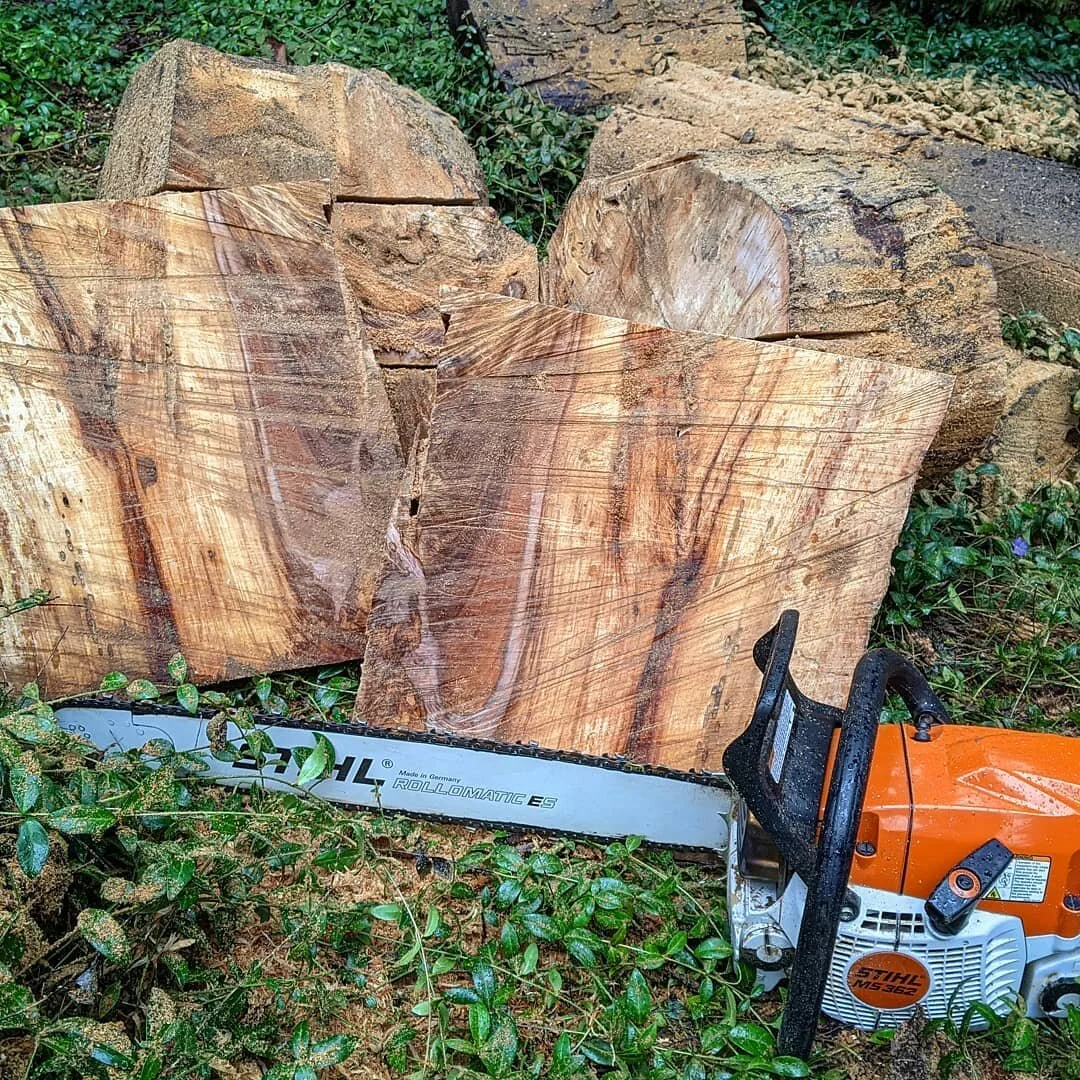 New bowls-to-be from the spalted, termite-infested, downed madrona tree in the yard. Such great figure and color! Hoping it stays together while spinning! 🤞 #bowlturning #madrona #woodturnersofinstagram #woodturning #chainsawman