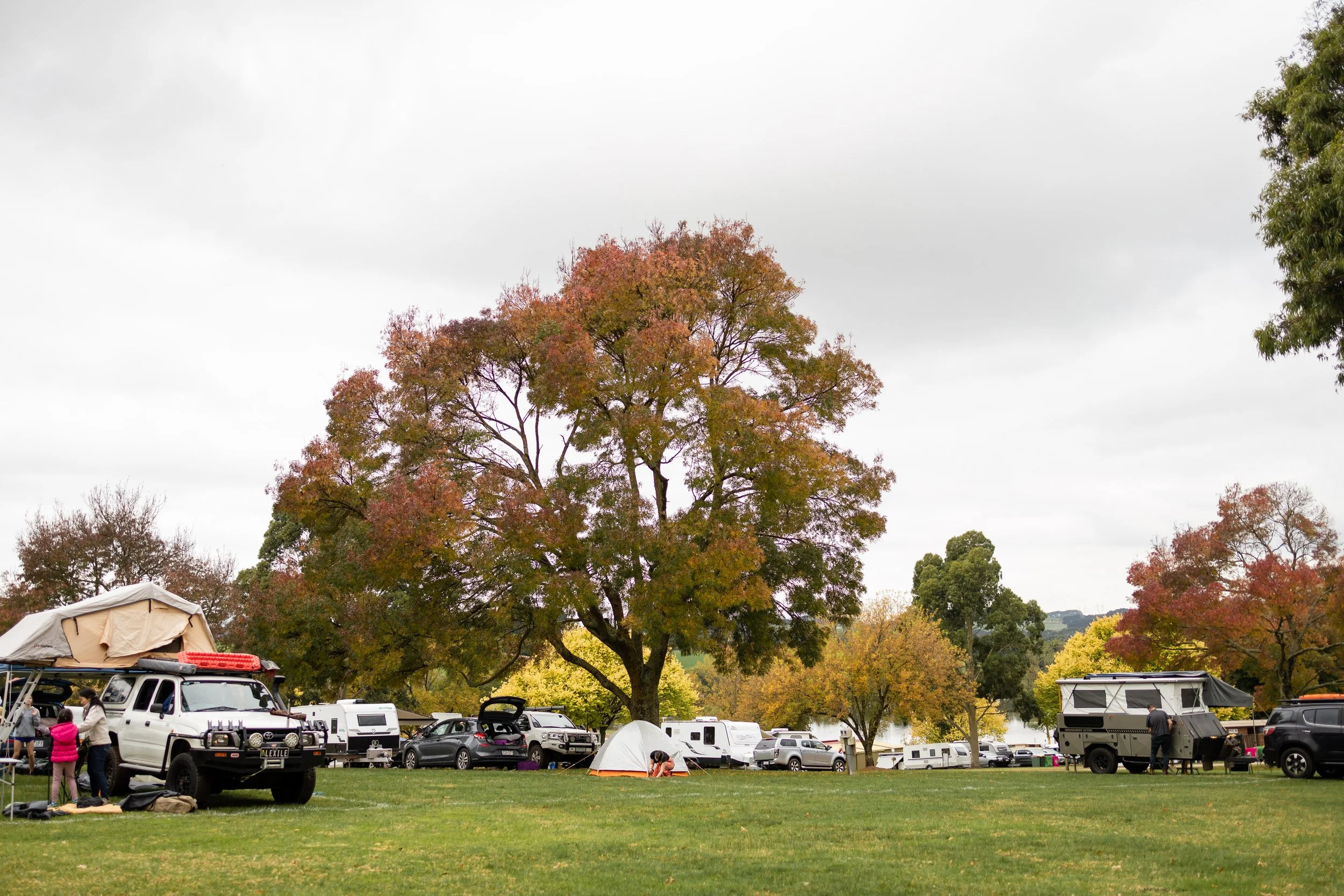 GippslandCountryMusicFestival2023_Camping_KimKeltiePhotography_0H1A0015LowRes.jpg