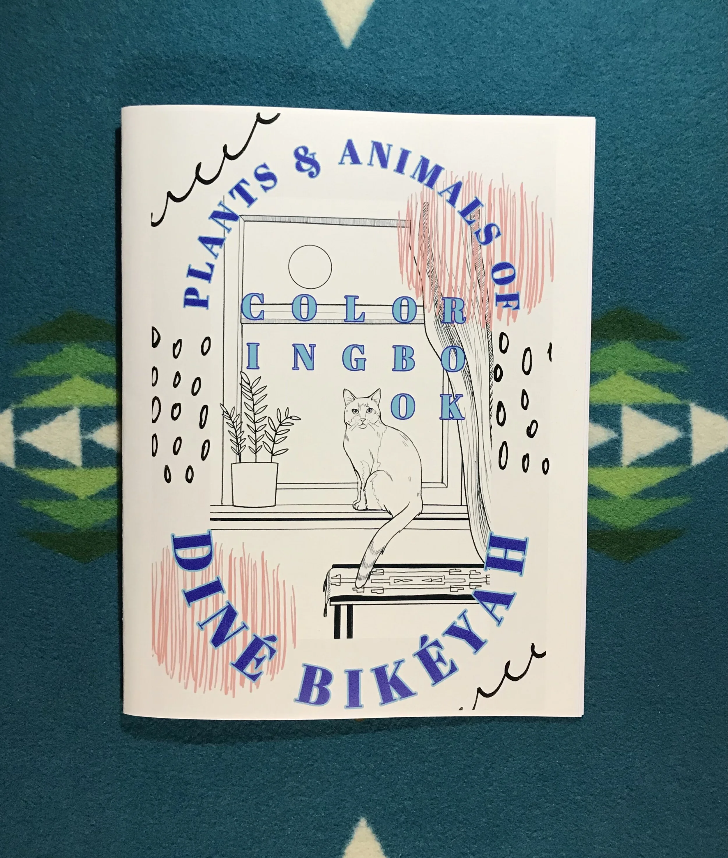 Plants &amp; Animals of Diné Bikéyah Coloring Book is officially for sale! 