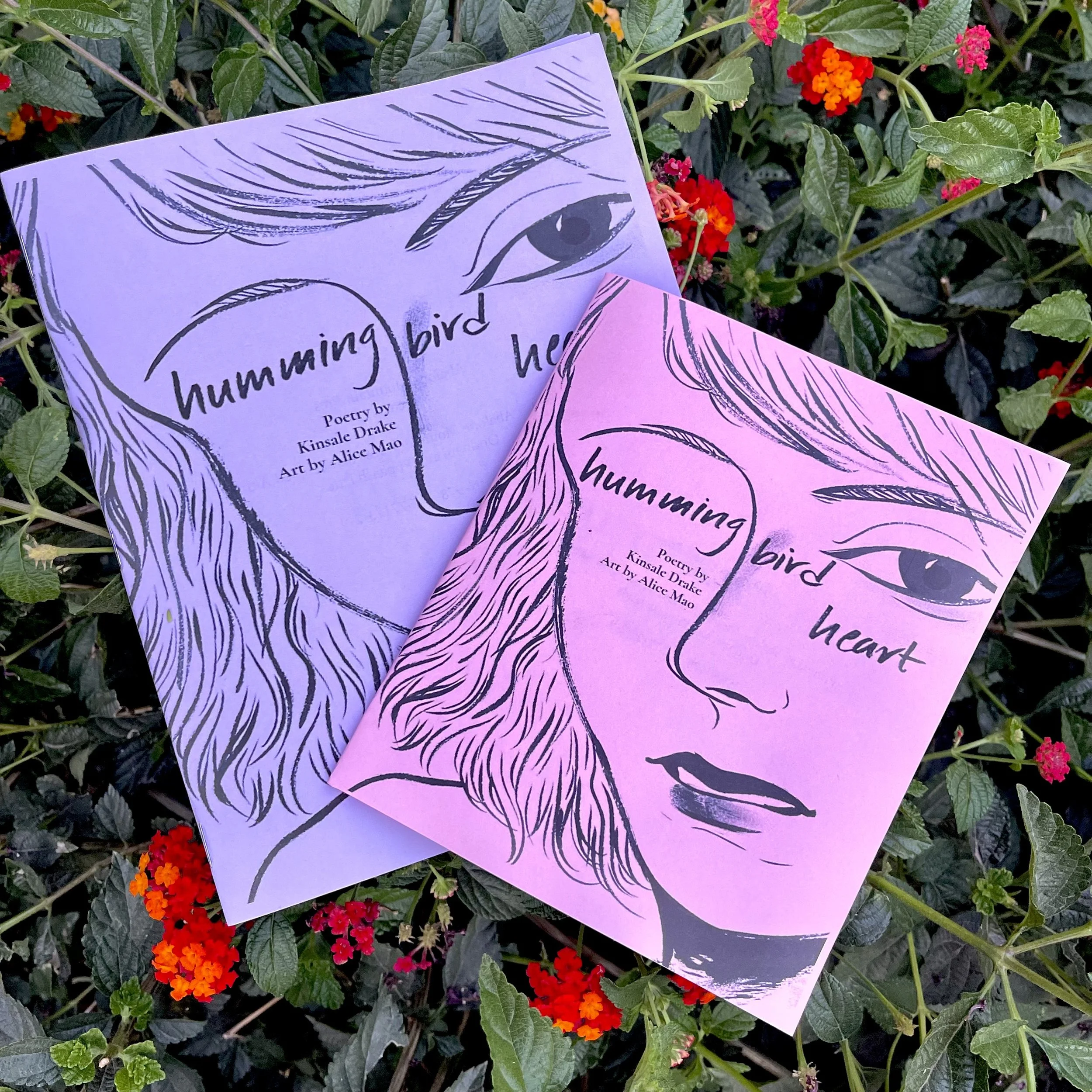 hummingbird heart zine now available in Abalone Mountain Press shop!