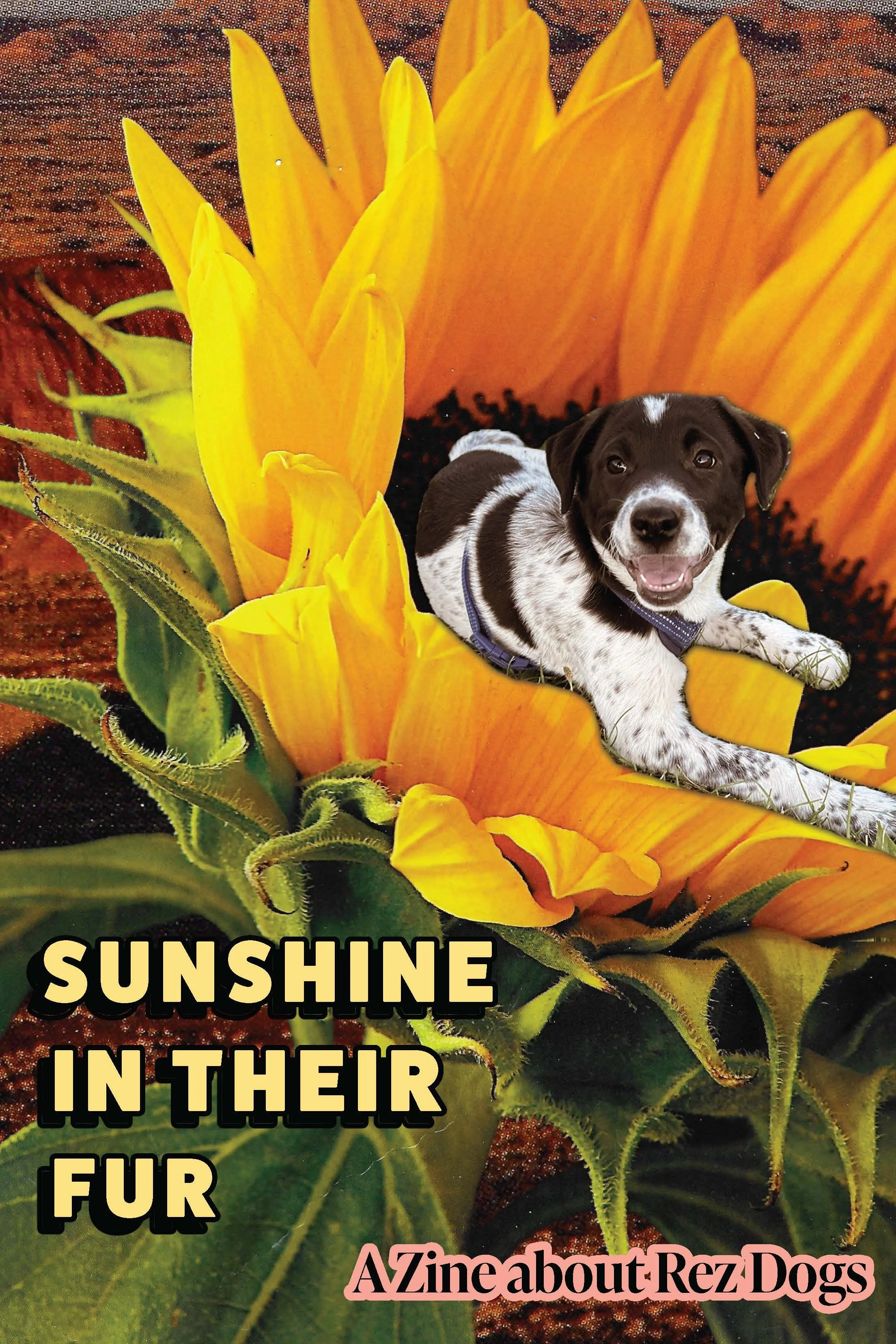 Rez Dog Zine JPEG_Page_01.jpg