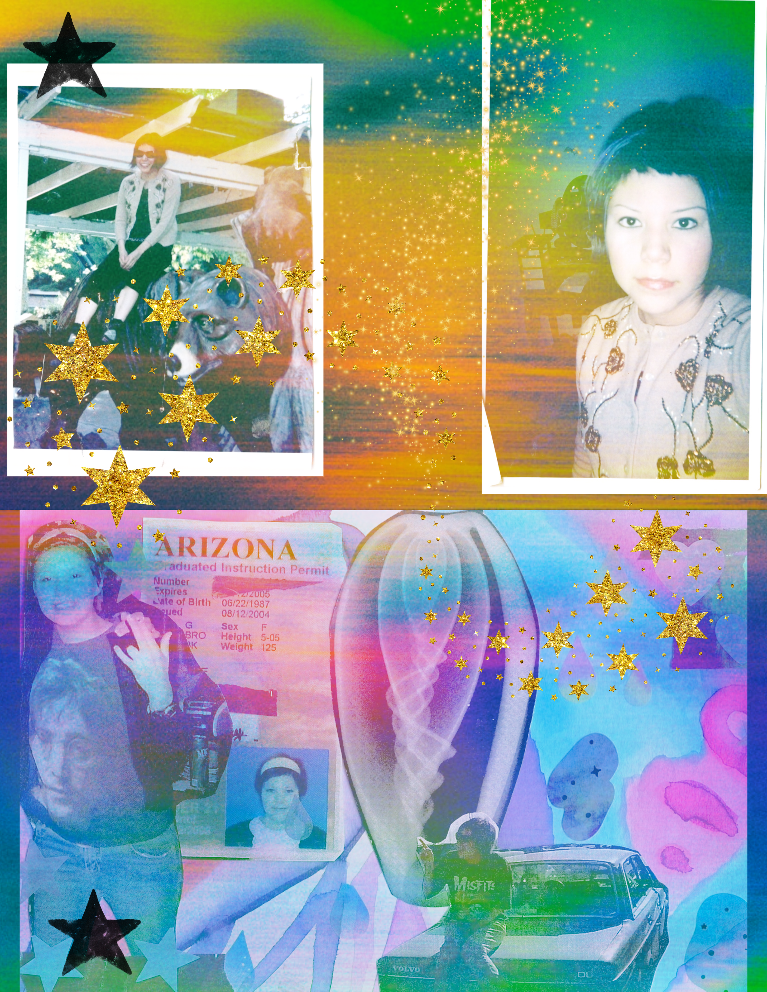 DANG3 collagesss.png